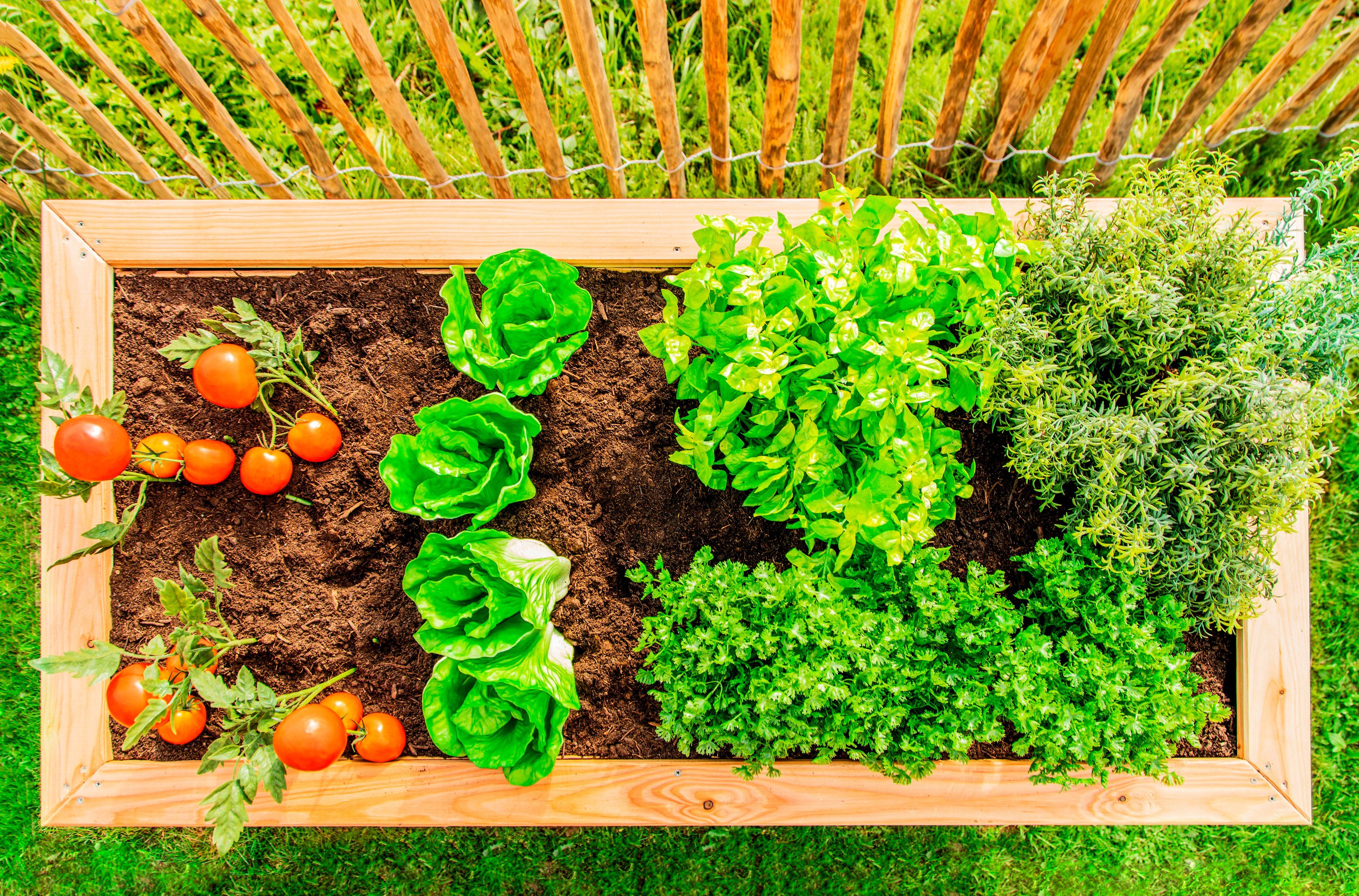 WESTMANN Hochbeet WMHL130, BxTxH: 130x65x84 cm