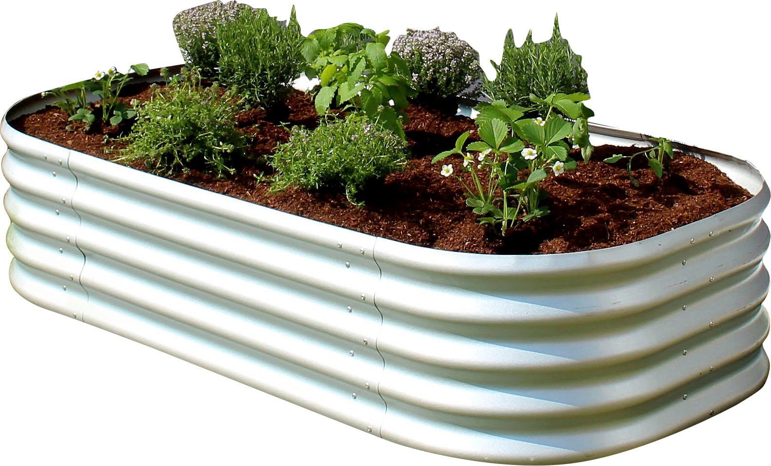 Vitavia Hochbeet Terra 401, BxTxH: 82x162x40 cm