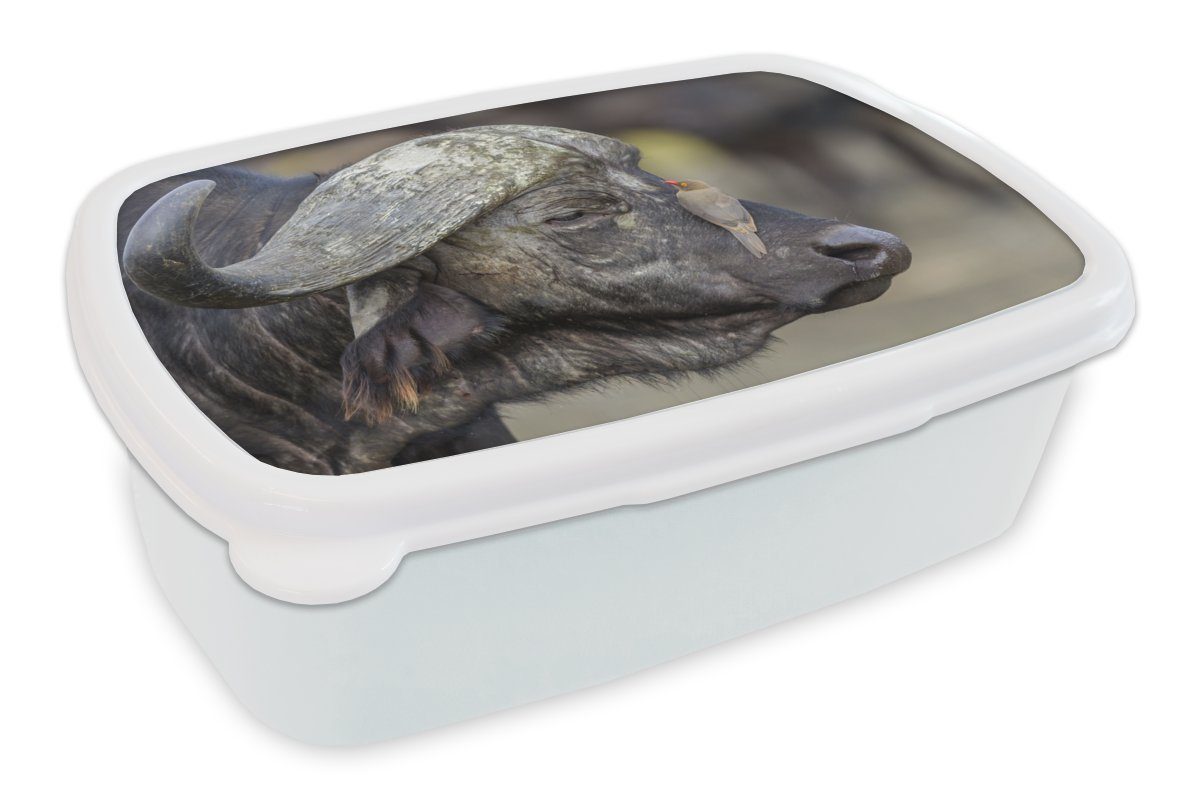 MuchoWow Lunchbox Büffel - Vogel - Tiere, Kunststoff, (2-tlg), Brotbox für Kinder und Erwachsene, Brotdose, für Jungs und Mädchen weiß