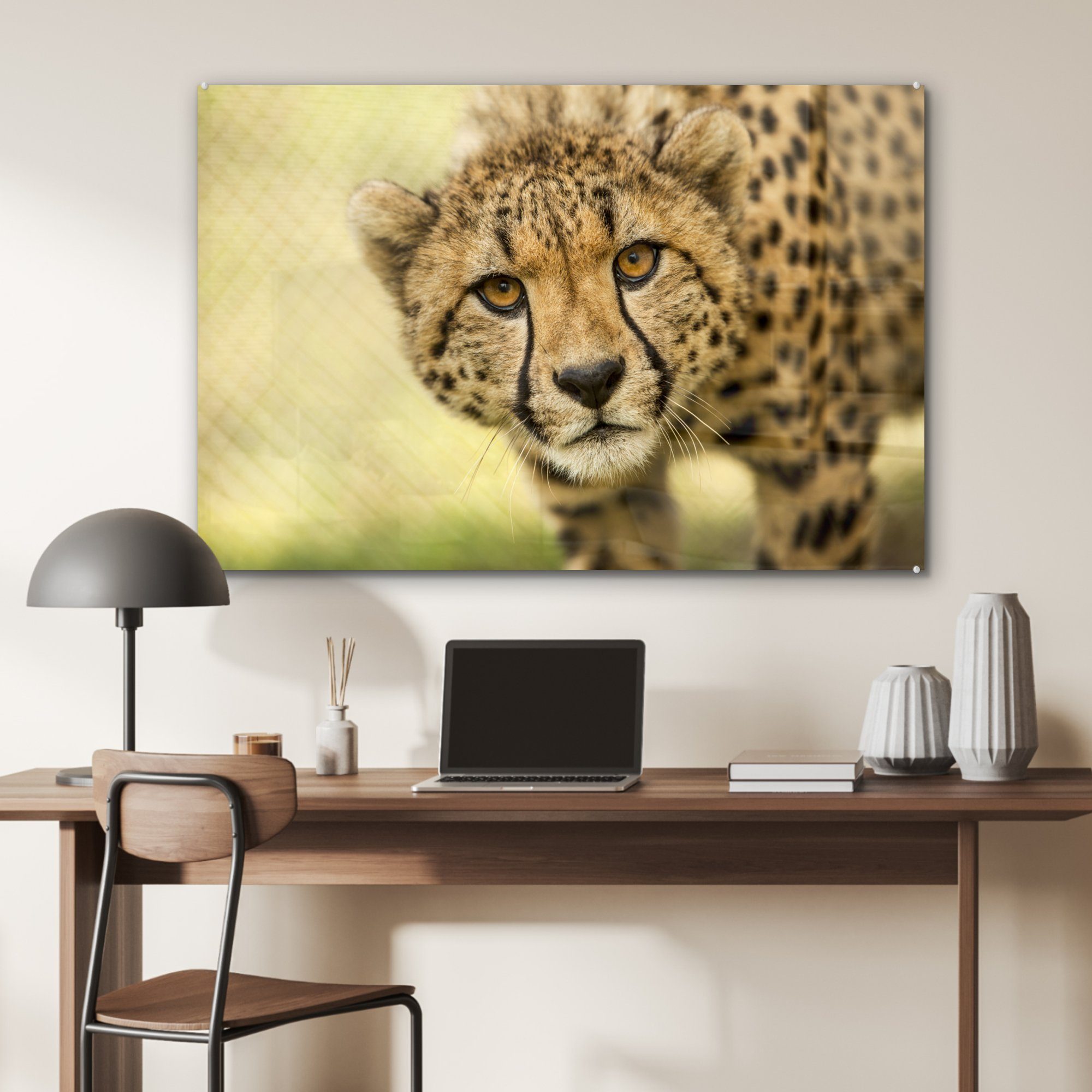 Acrylglasbilder St), Acrylglasbild Schlafzimmer & Wohnzimmer Gepard - - Tier, Leopard (1 MuchoWow