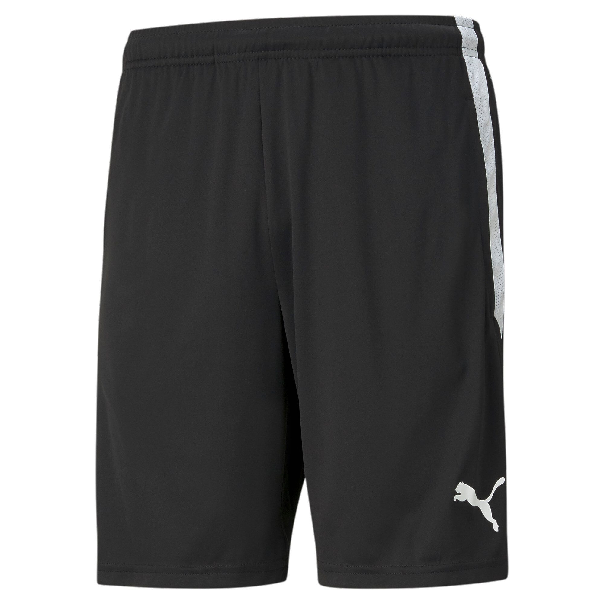 PUMA Trainingsshorts TEAMLIGA TRAINING SHORTS