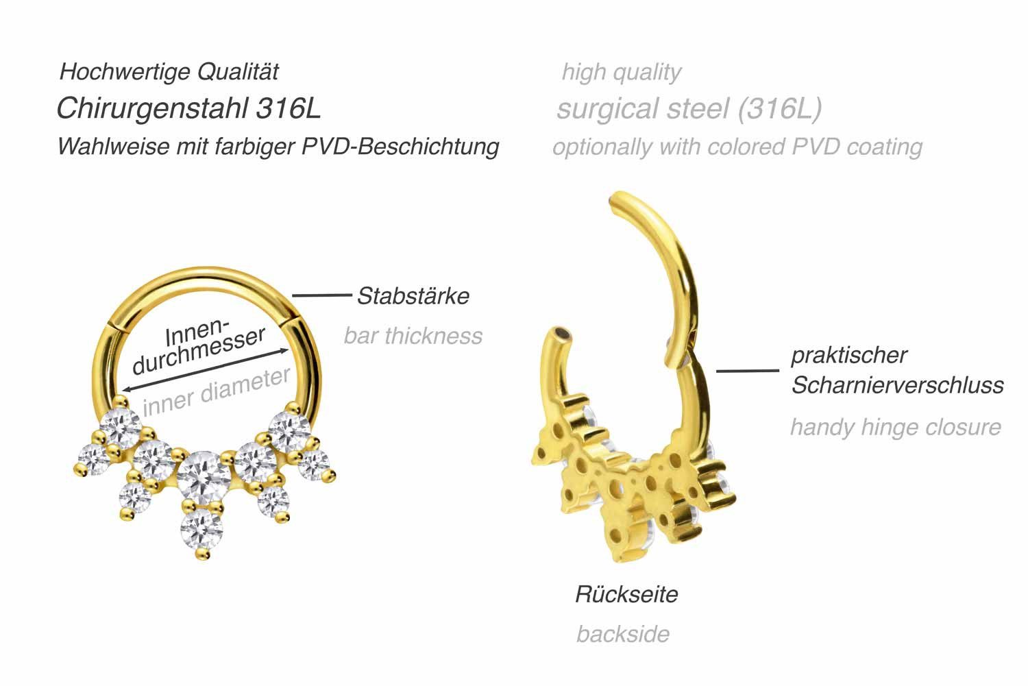 PIERCINGLINE Nasenpiercing Chirurgenstahl Segmentring Clicker 10 EINGEFASSTE KRISTALLE (Clicker, 1-tlg), Ohrpiercing für Conch, Helix, Tragus, Daith, Lobe
