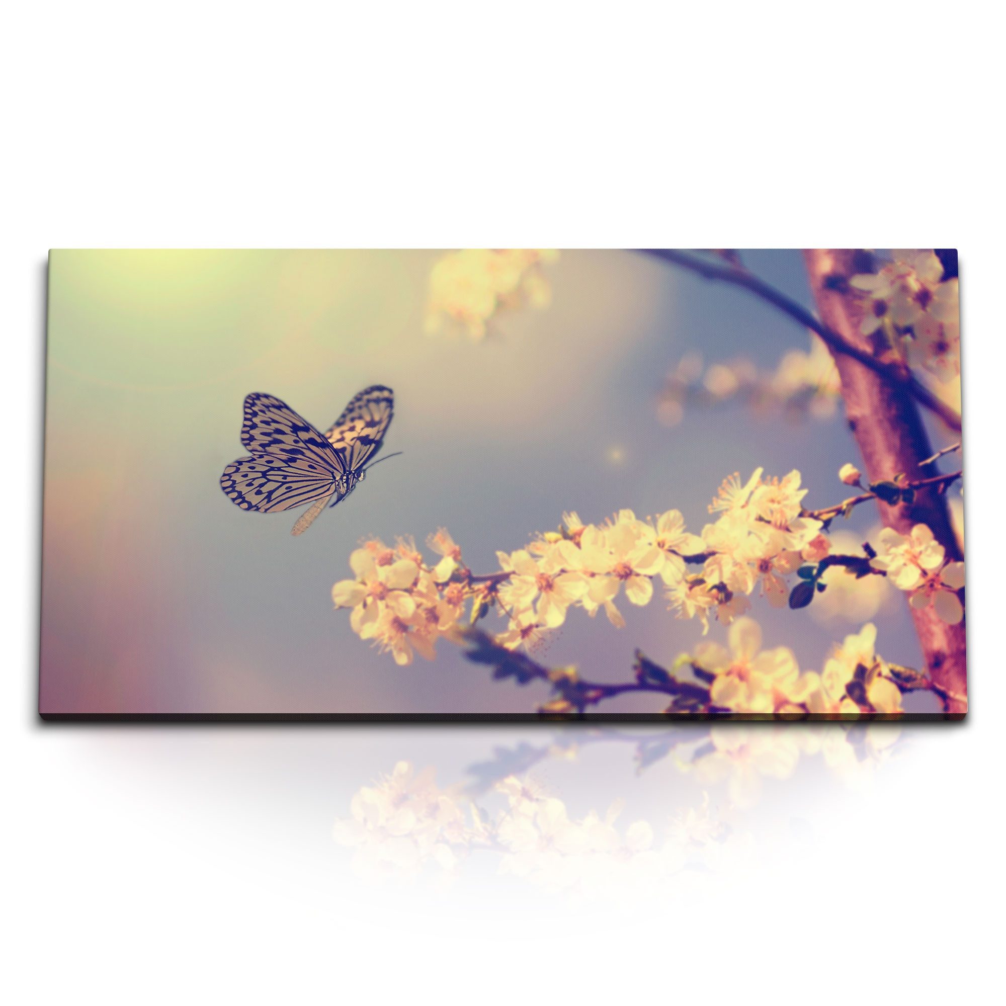 Leinwandbild Kunstdruck Bilder 120x60cm Frühling Natur Baumblüte weiße Blüten Schme