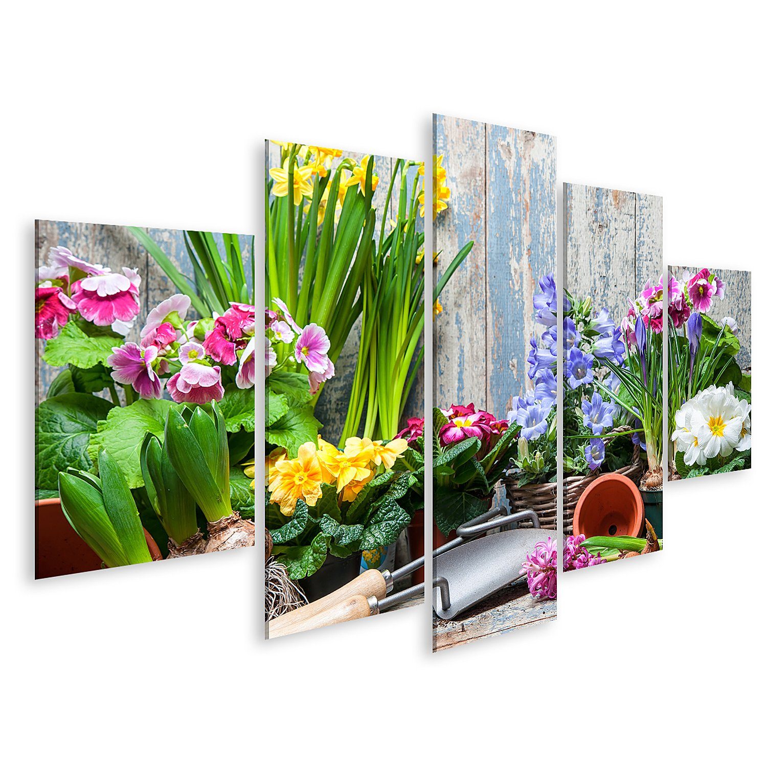 Leinwandbild Bild auf Leinwand Blumen pflanzen in Topf mit Erde oder Erde im Hinter