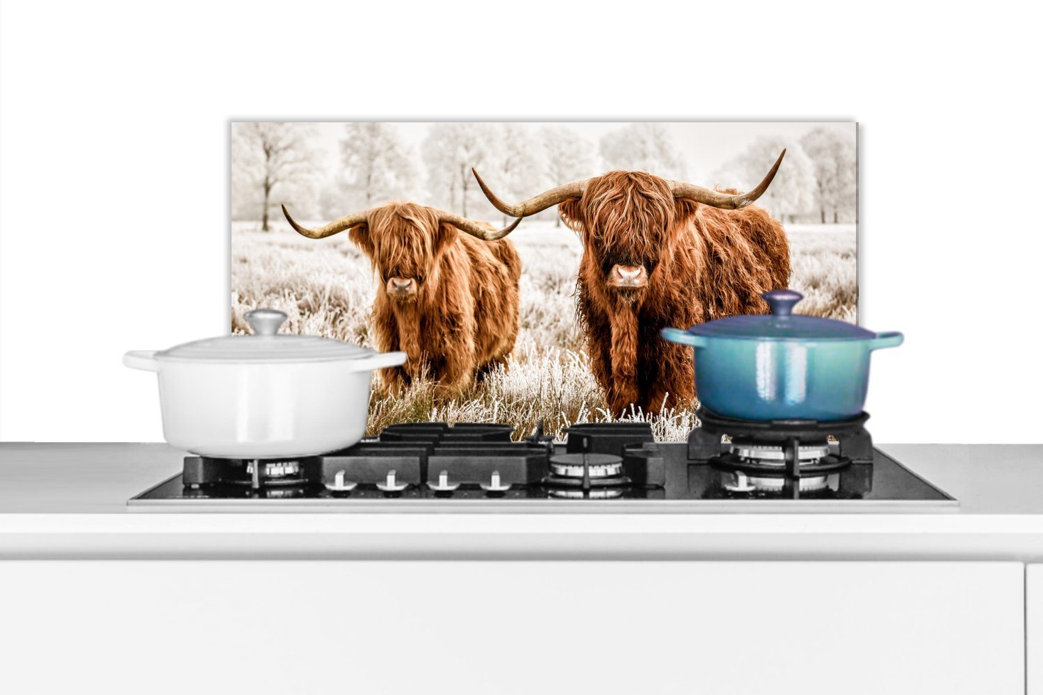 - Küchen cm, Highlander MuchoWow Fett Schottischer Kuh, 60x30 und für (1-tlg), Wandschutz, gegen Tiere Küchenrückwand - Schmutzflecken