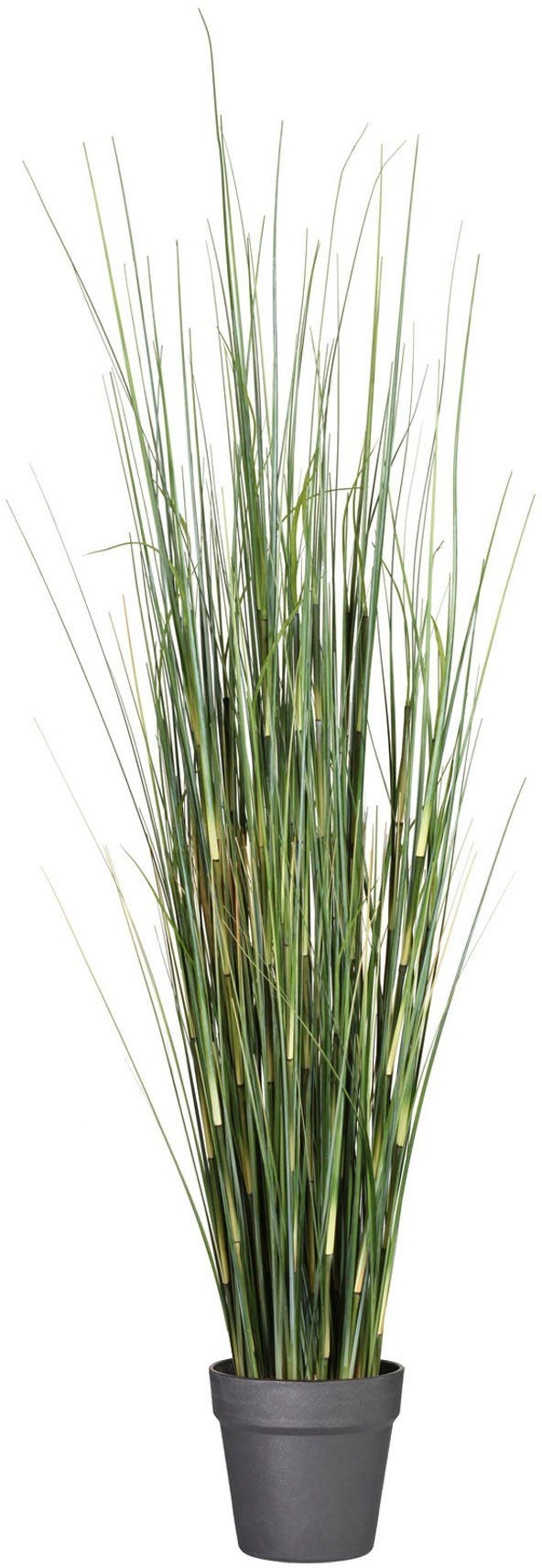 Kunstgras Equisetumgras