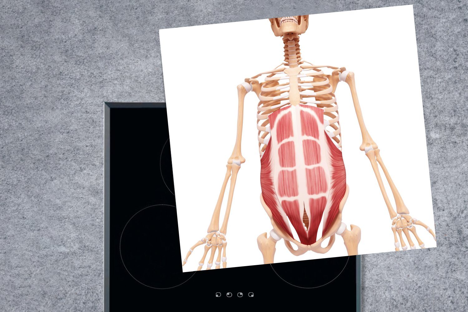 des küche Herdblende-/Abdeckplatte Illustration cm, MuchoWow Eine Bauchmuskels Ceranfeldabdeckung, tlg), geraden Körper, (1 für Vinyl, 78x78 menschlichen Arbeitsplatte im