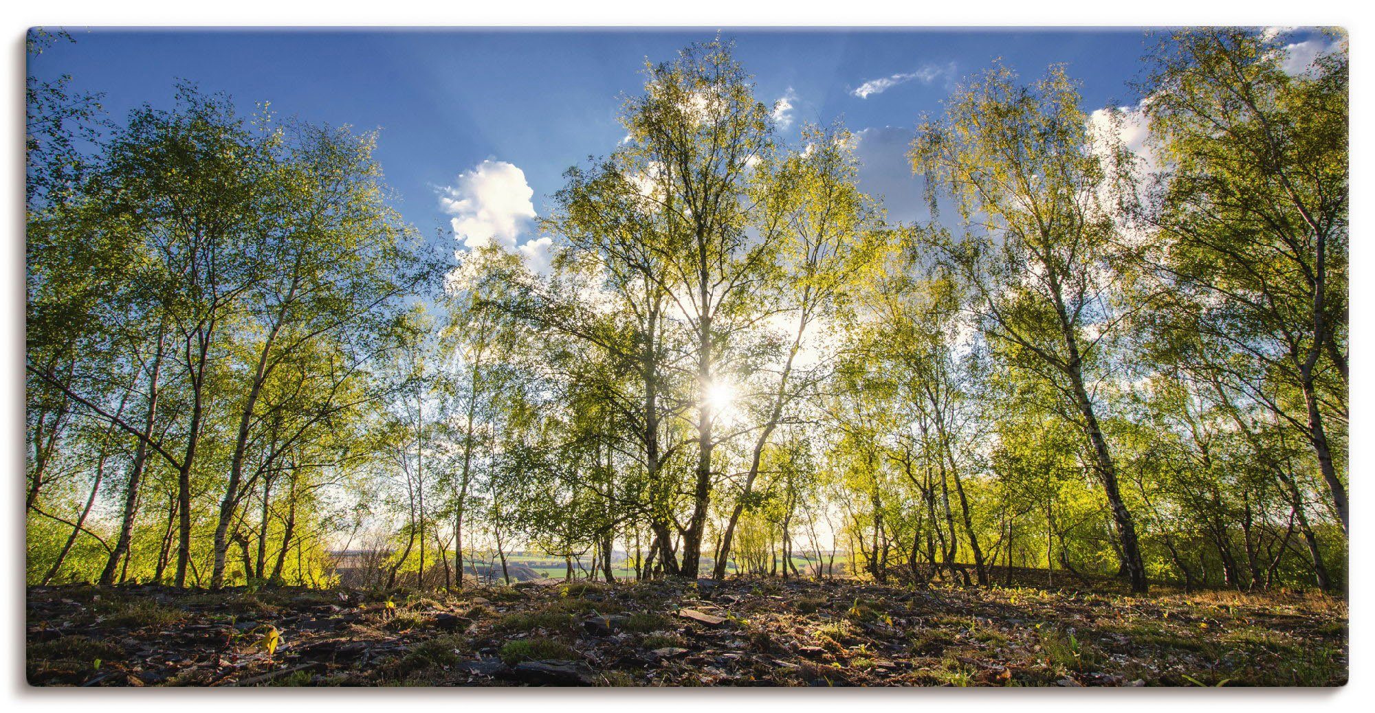 Artland Leinwandbild Frühlingssonne, Wald (1 St), auf Holzrahmen gespannt