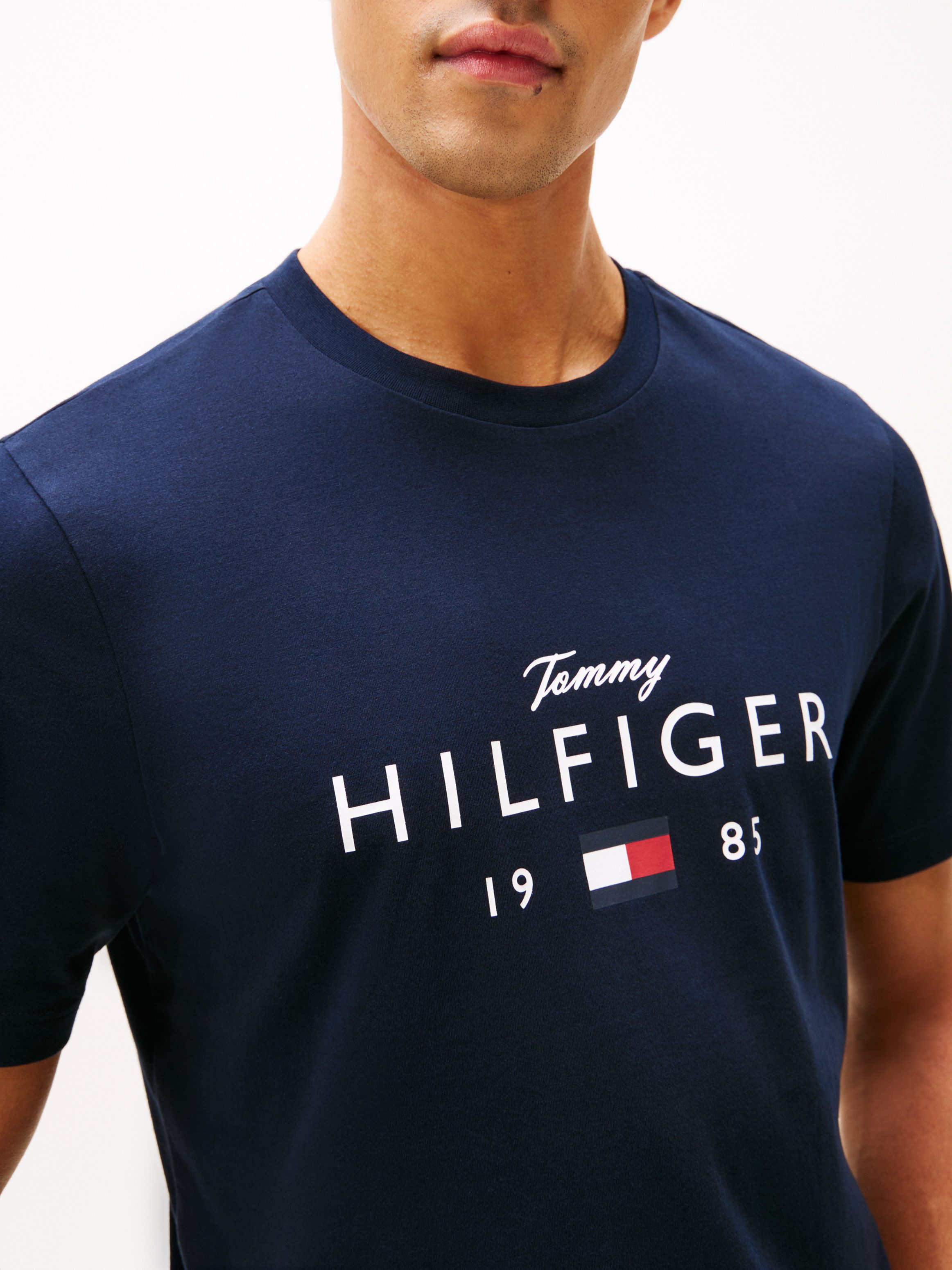 Tommy Hilfiger T-Shirt BRAND LOVE BIG HILFIGER regular fit, Rundhals, Jersey, mit Logo-Grafik