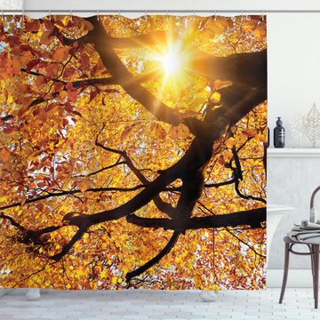 Abakuhaus Duschvorhang Moderner Digitaldruck mit 12 Haken auf Stoff Wasser Resistent Breite 175 cm, Höhe 180 cm, Natur Sonne im Oktober Ernte