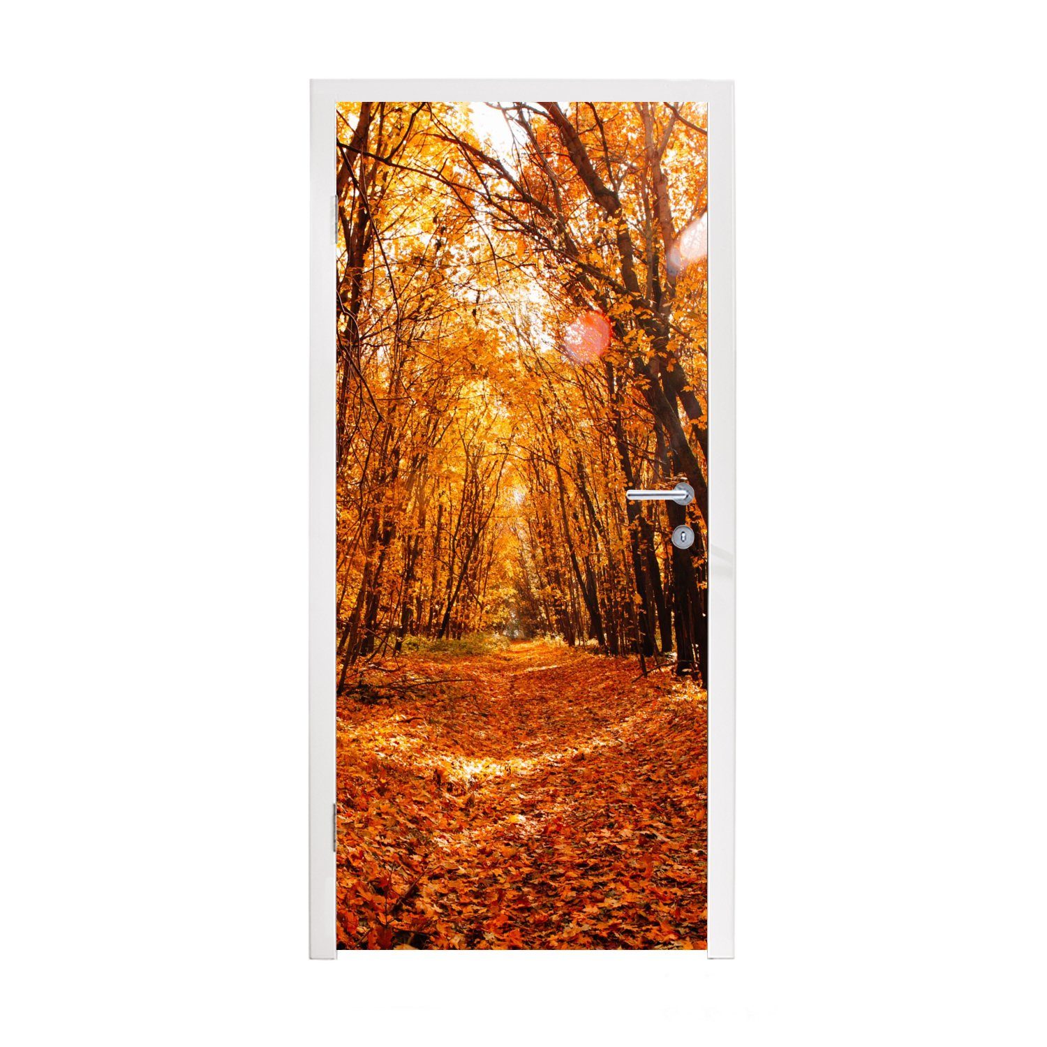 Matt, bedruckt, 75x205 Türaufkleber, cm - Jahreszeiten, Fototapete Türtapete St), Wald Herbst für - Tür, MuchoWow (1 Laub -