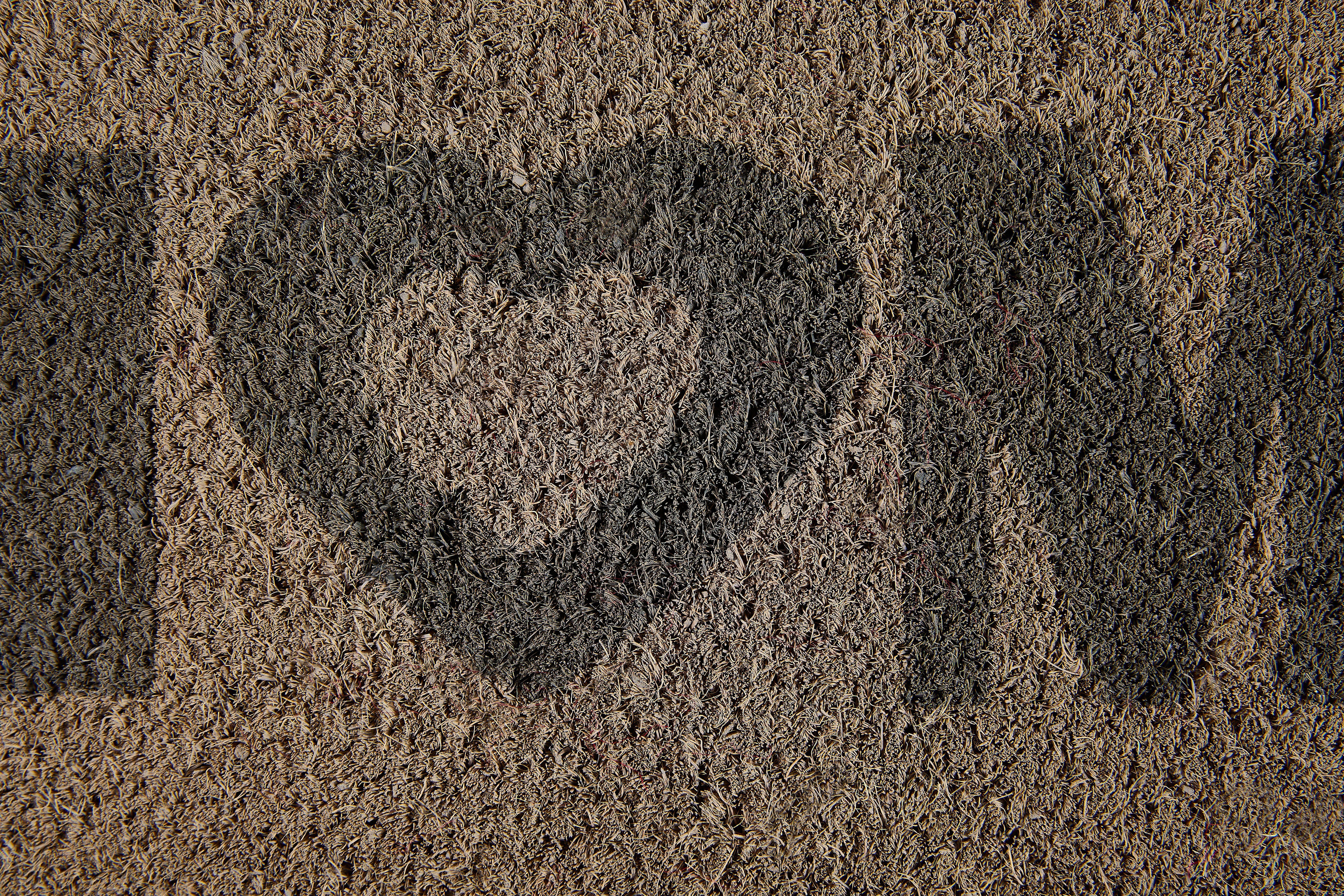 In- Höhe: rechteckig, und Fußmatte geeignet Heart, Andiamo, mit Spruch, Home mm, Schmutzfangmatte, hellgrau 15 Kokos Outdoor Kokosmatte,
