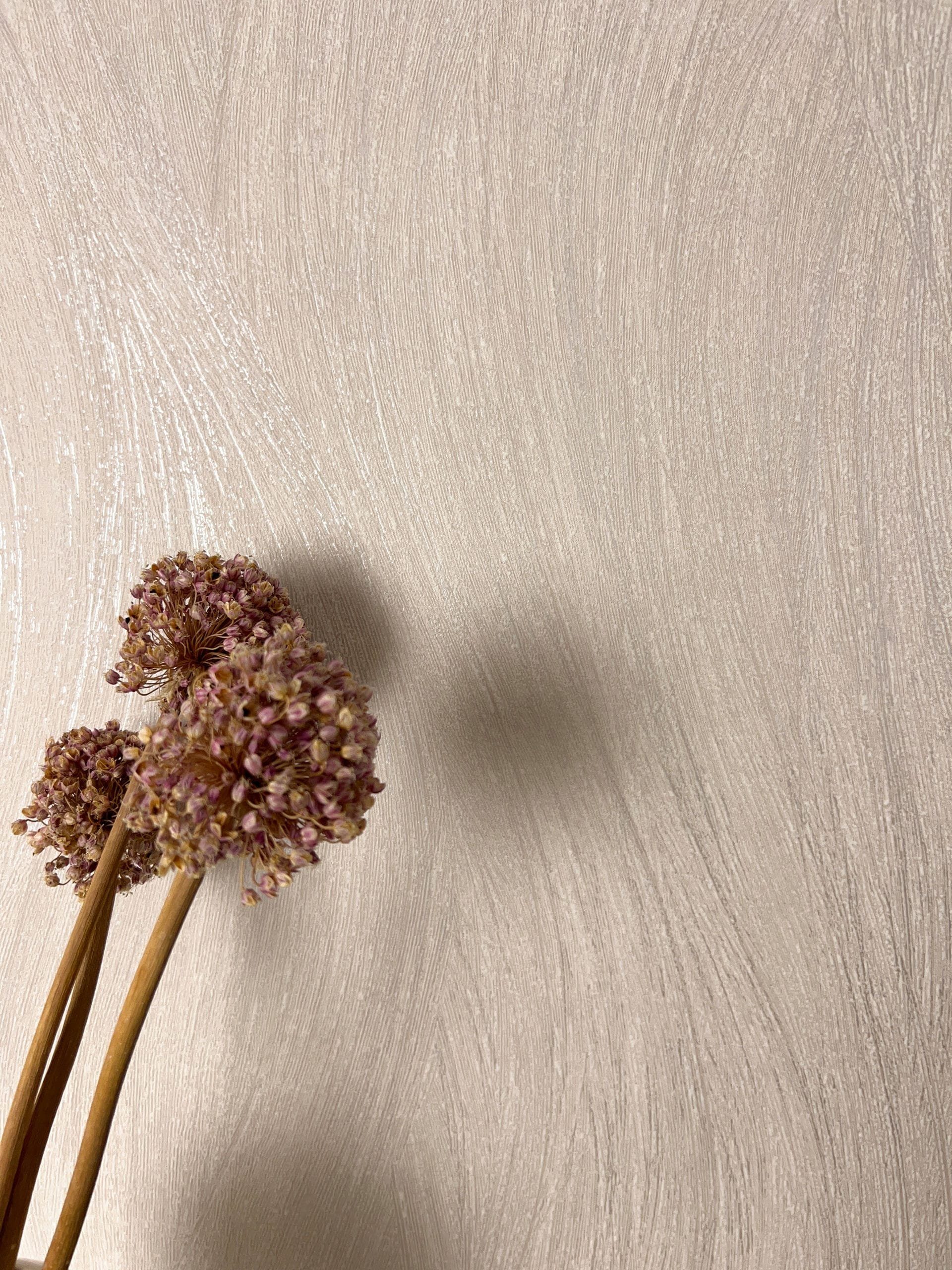 Newroom Vliestapete, Beige Tapete Modern Streifen günstig online kaufen