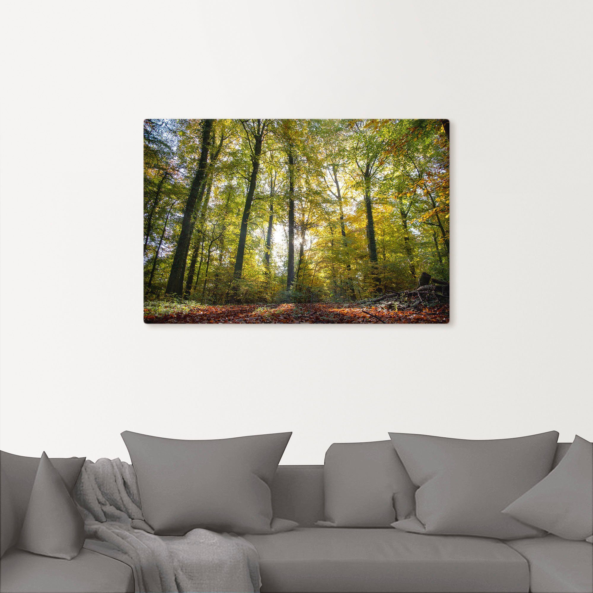 Poster Artland oder Wandaufkleber Waldbilder Herbst, Alubild, in Größen zum (1 St), versch. als Wandbild Laubwald Leinwandbild,