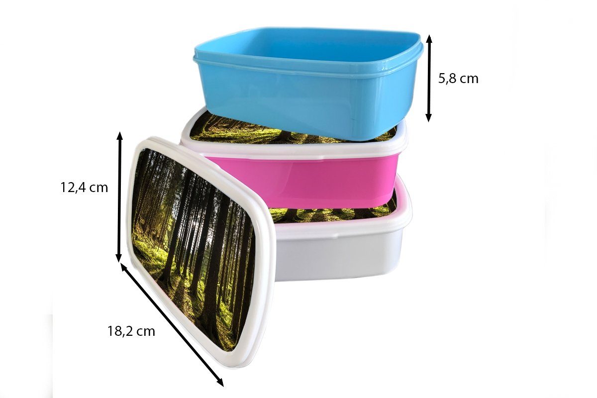 - Baum Kinder, Sonne Snackbox, (2-tlg), Brotdose Natur Lunchbox Erwachsene, rosa Mädchen, Wald, - Kunststoff, für Kunststoff - Brotbox MuchoWow