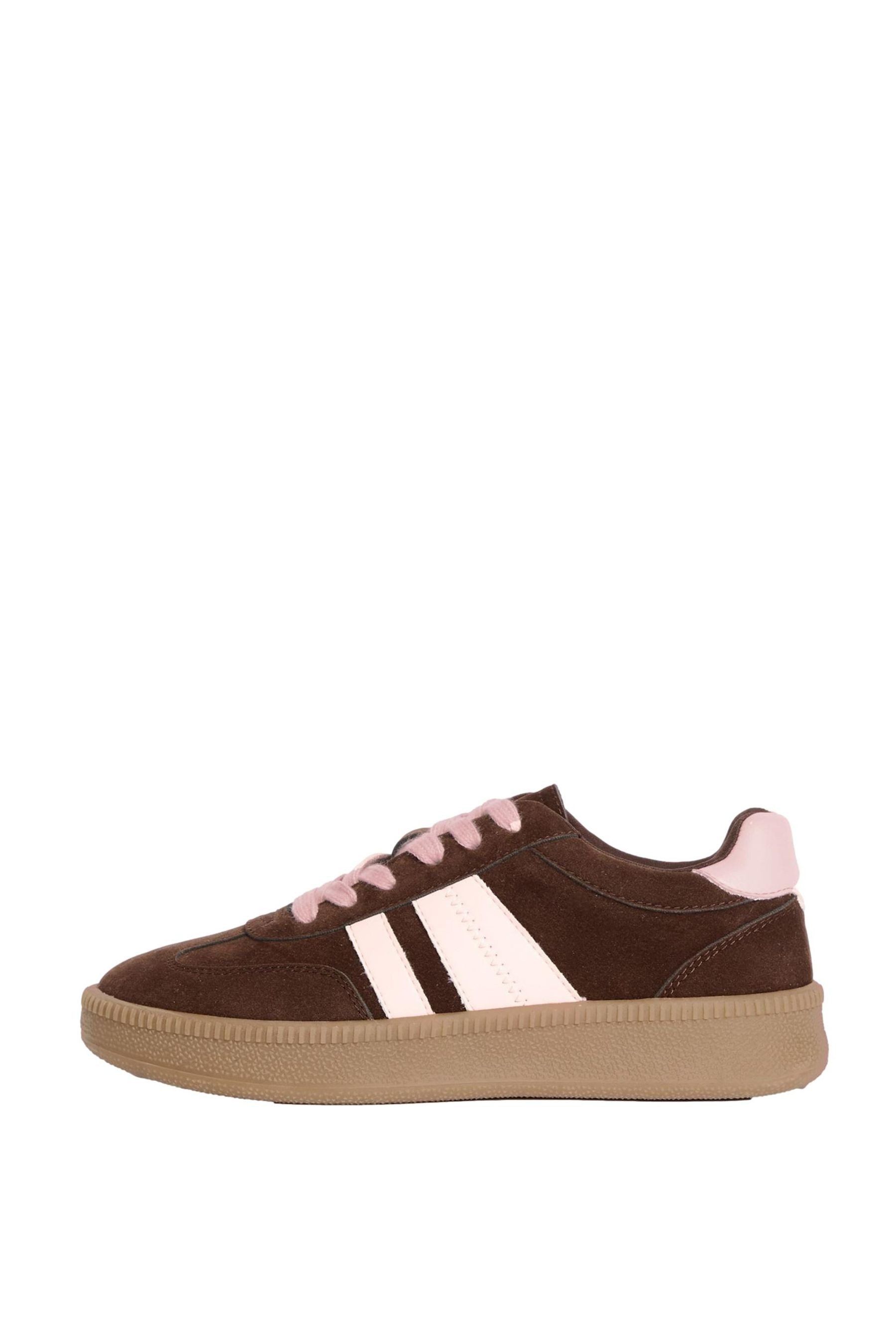 Chocolate Brown