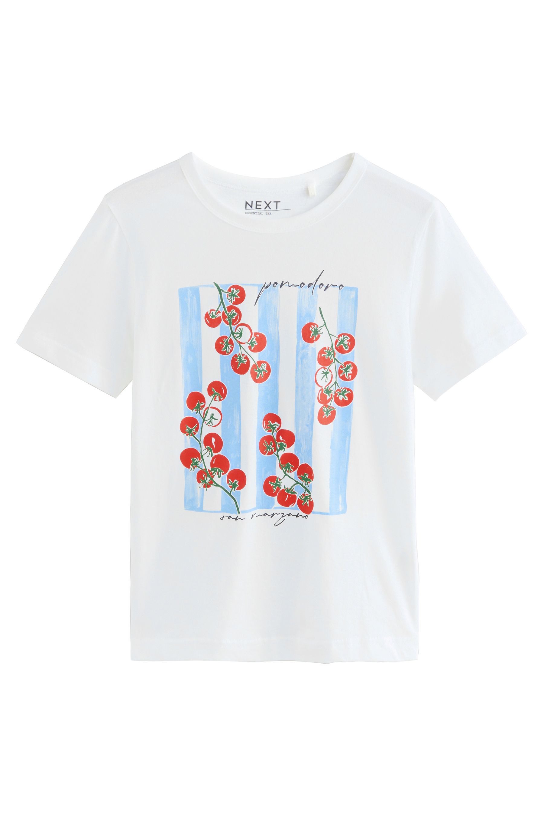 Next T-Shirt Essential Kurzarm-T-Shirt mit Rundhalsausschnitt günstig online kaufen