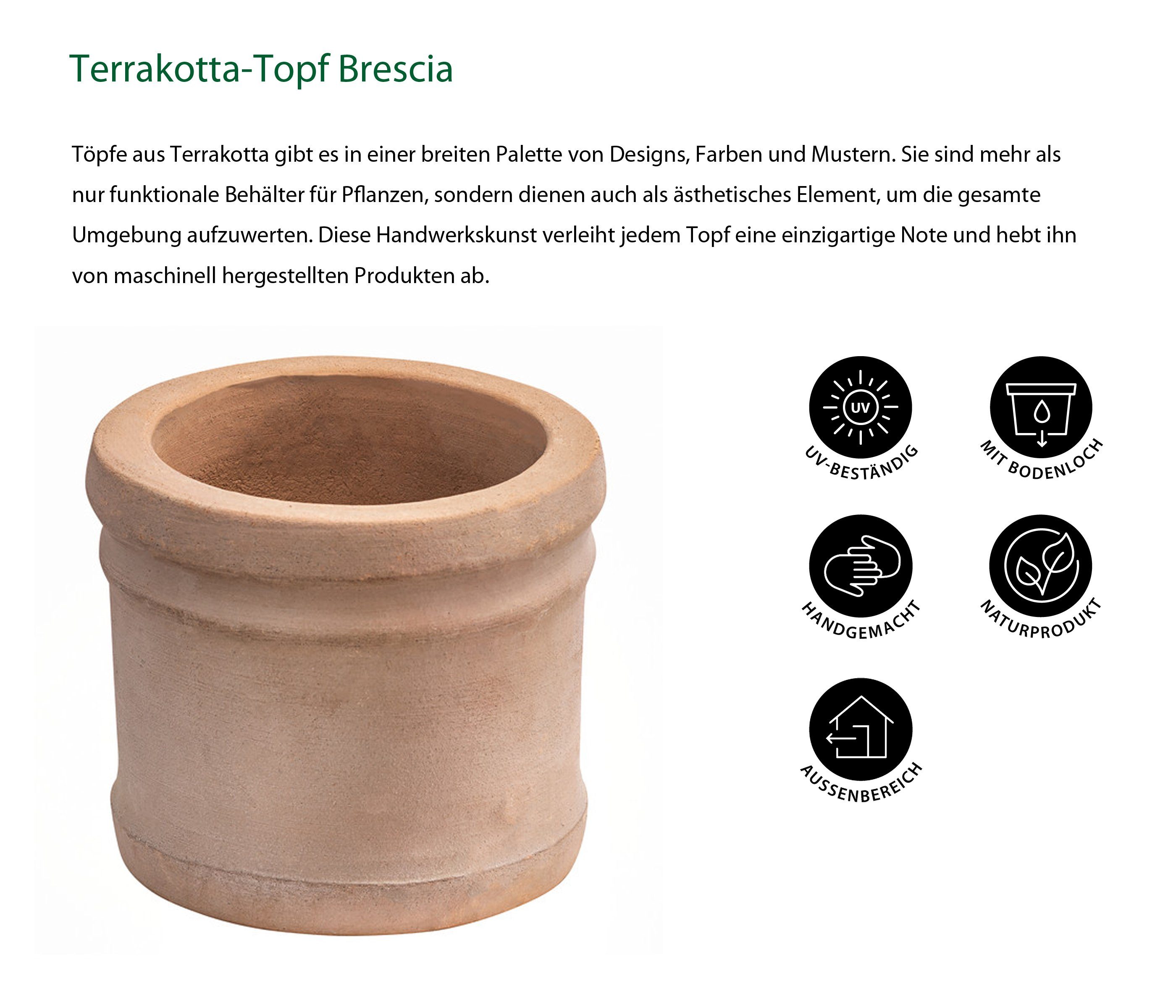 Dehner Pflanzkübel Terrakotta-Topf Brescia, versch. Größen günstig online kaufen