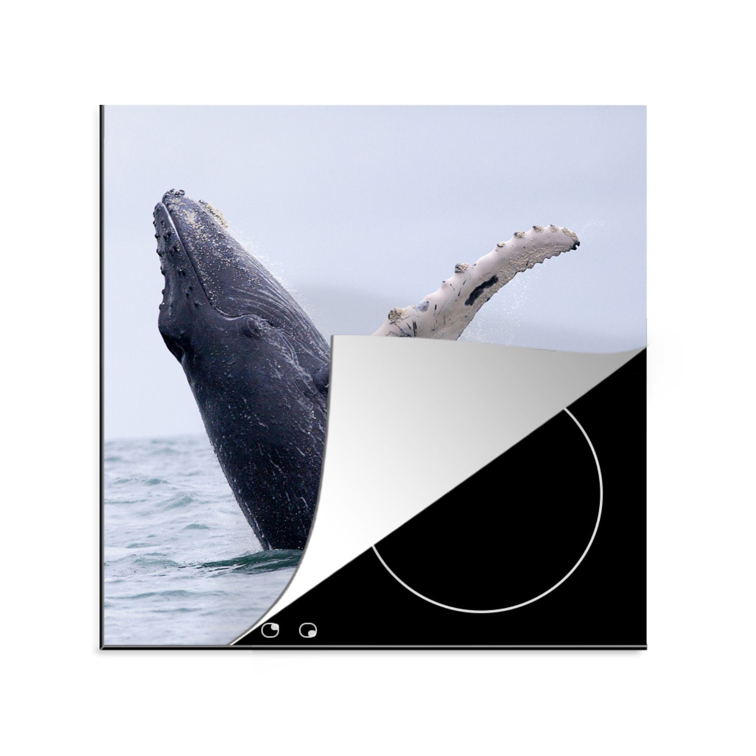 MuchoWow Herdblende-/Abdeckplatte Buckelwal im Meer bei Costa Rica, Vinyl, (1 tlg), 78x78 cm, Ceranfeldabdeckung, Arbeitsplatte für küche