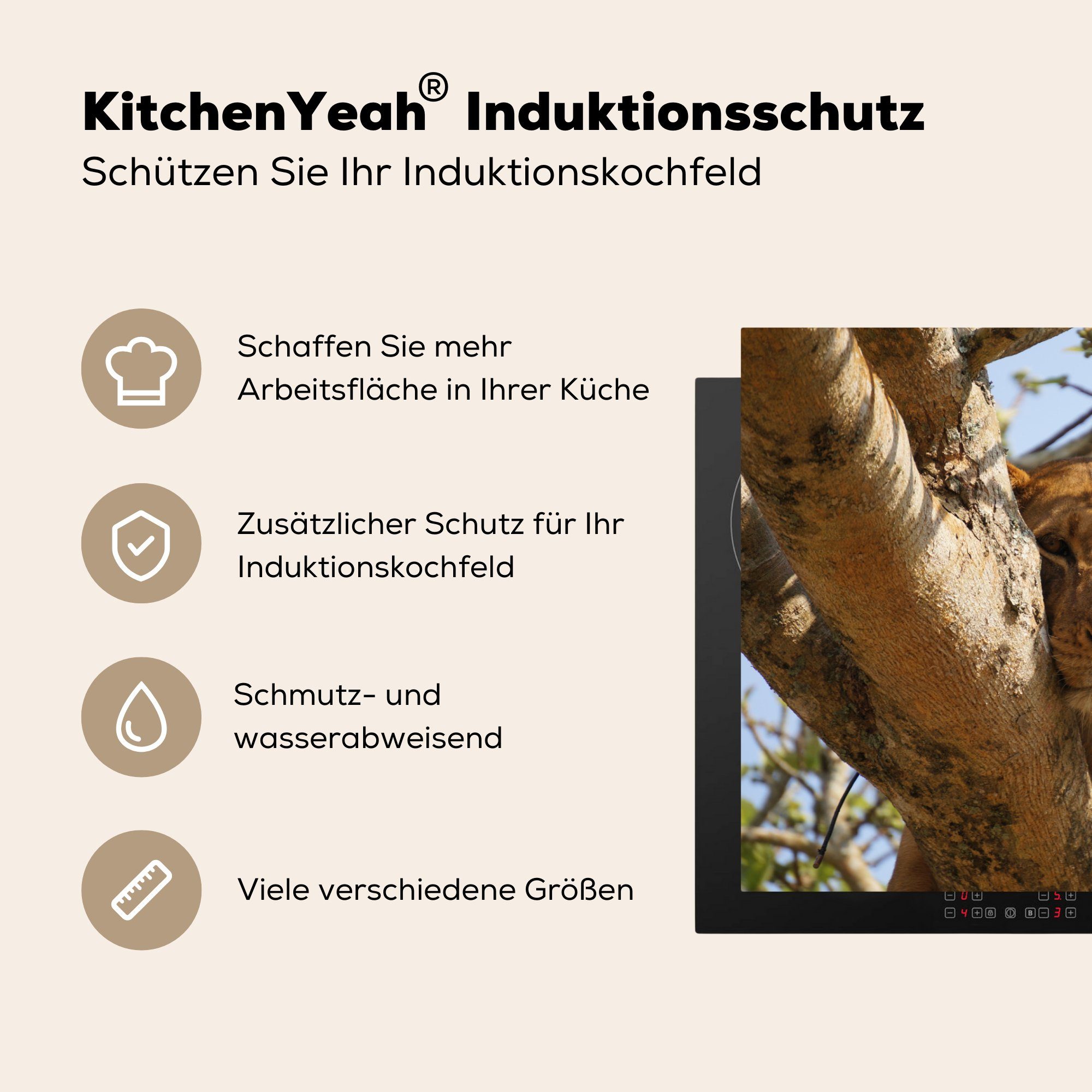 MuchoWow Vinyl, Schutz Ceranfeldabdeckung (1 die - - tlg), Herdblende-/Abdeckplatte Induktionskochfeld Löwe küche, cm, 81x52 für Baum, Äste