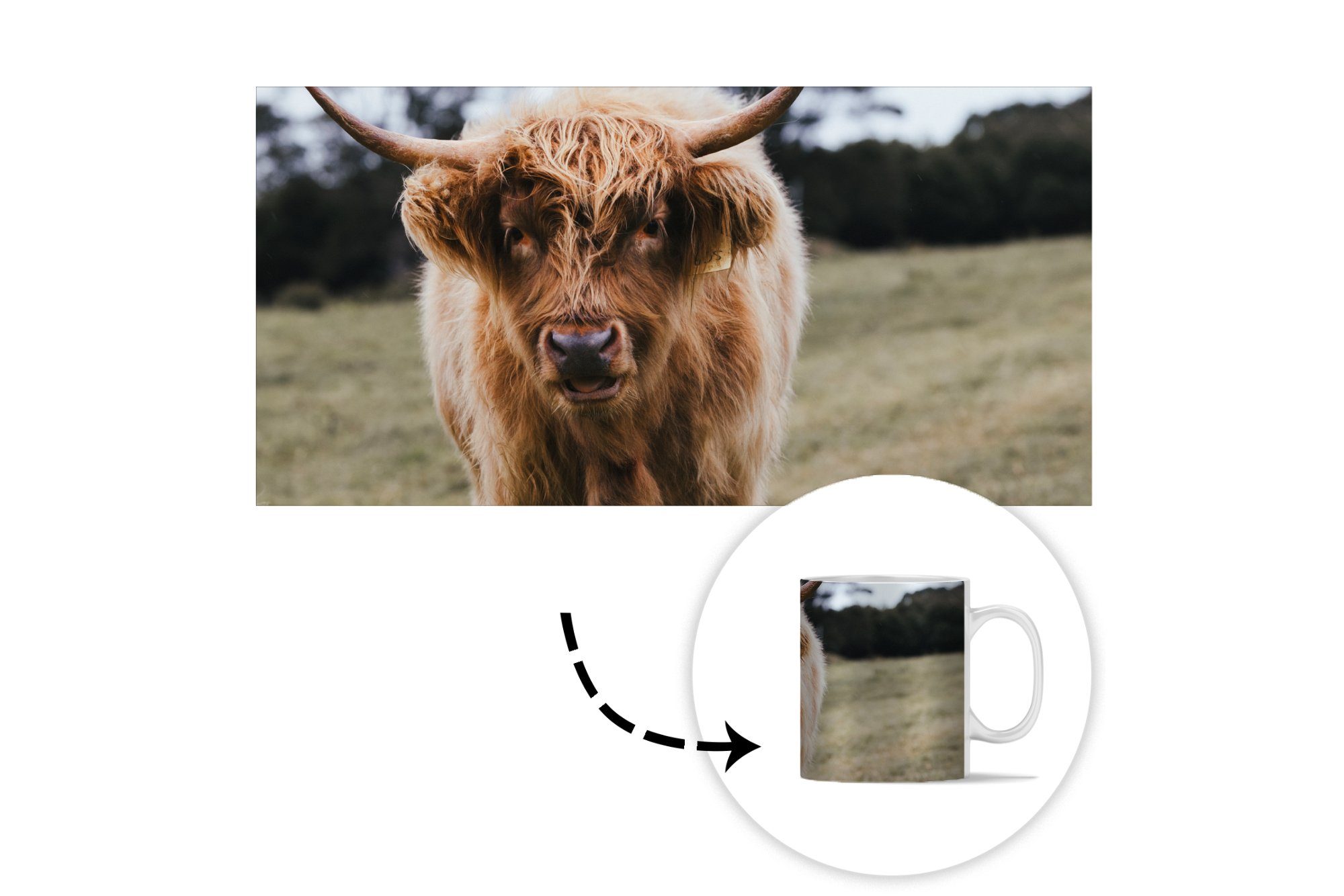 MuchoWow Tasse Scottish Gras, Becher, - Keramik, Geschenk Kaffeetassen, Highlander Teetasse, Nutztiere - Teetasse