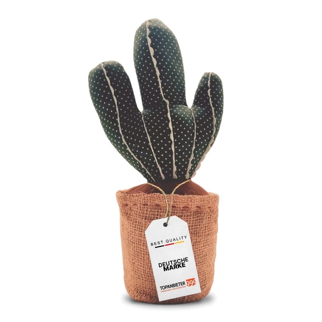 Topanbieter999 Türstopper Topanbieter999 Türstopper, Kaktus günstig online kaufen