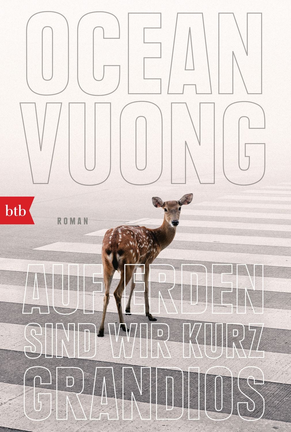 Auf Erden sind wir kurz grandios / Ocean Vuong