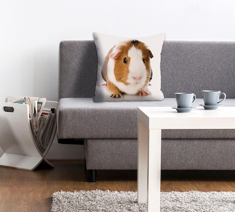 queence Dekokissen Malte, Kissenhülle,Meerschweinchen,Tiermotiv,Niedlich,Haustier,Verspielt