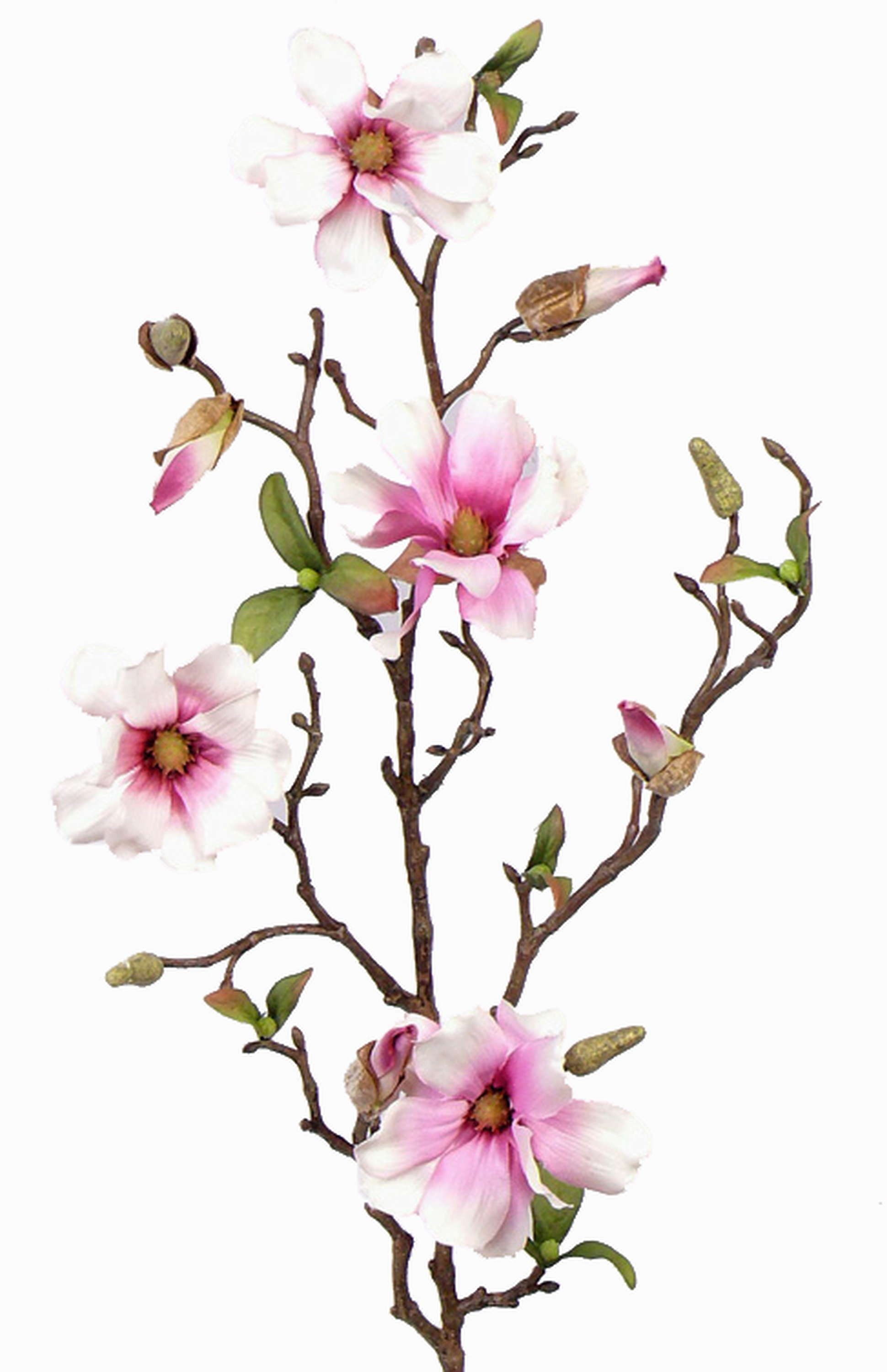 Kunstzweig Deko Magnolienzweig, 4 Blüten und Knospen, weiß - rosa, 80cm Magnolie, artplants, Höhe 80.0 cm