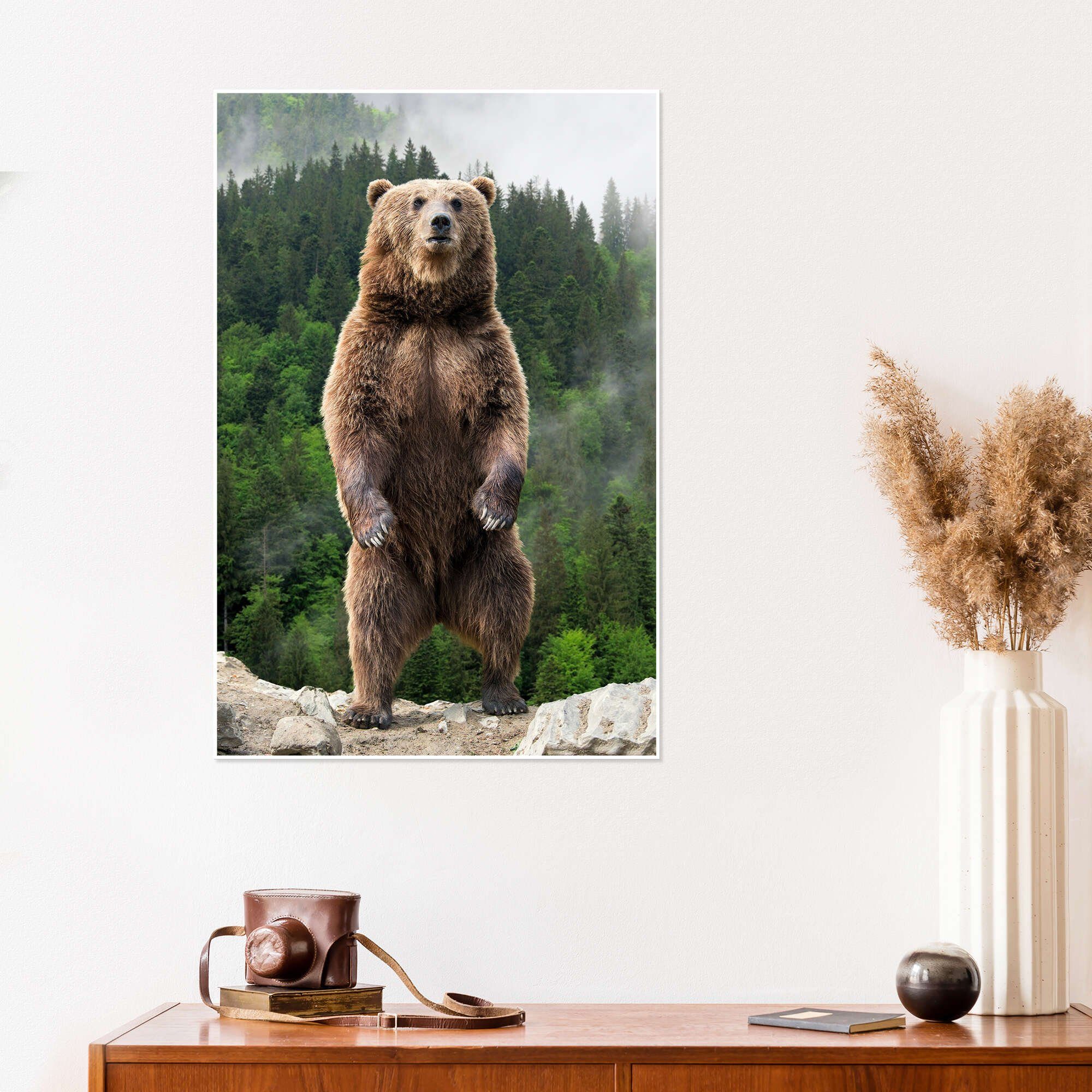 Posterlounge Wandbild Großer Braunbär, Animal Portrait Photography, erhältlich als Poster, Leinwandbild, Wandsticker oder Acrylglasbild – Bild 4 von 5