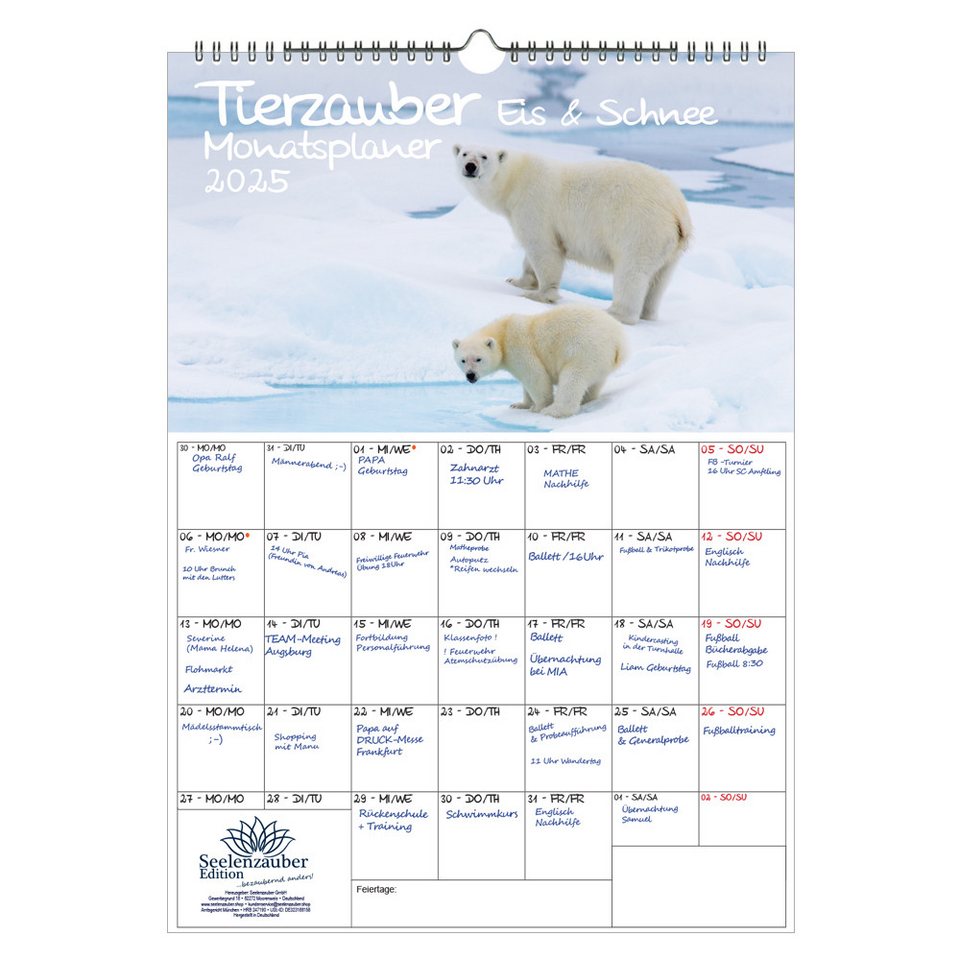 Seelenzauber Wandkalender Tierzauber Eis und Schnee Wand Planer