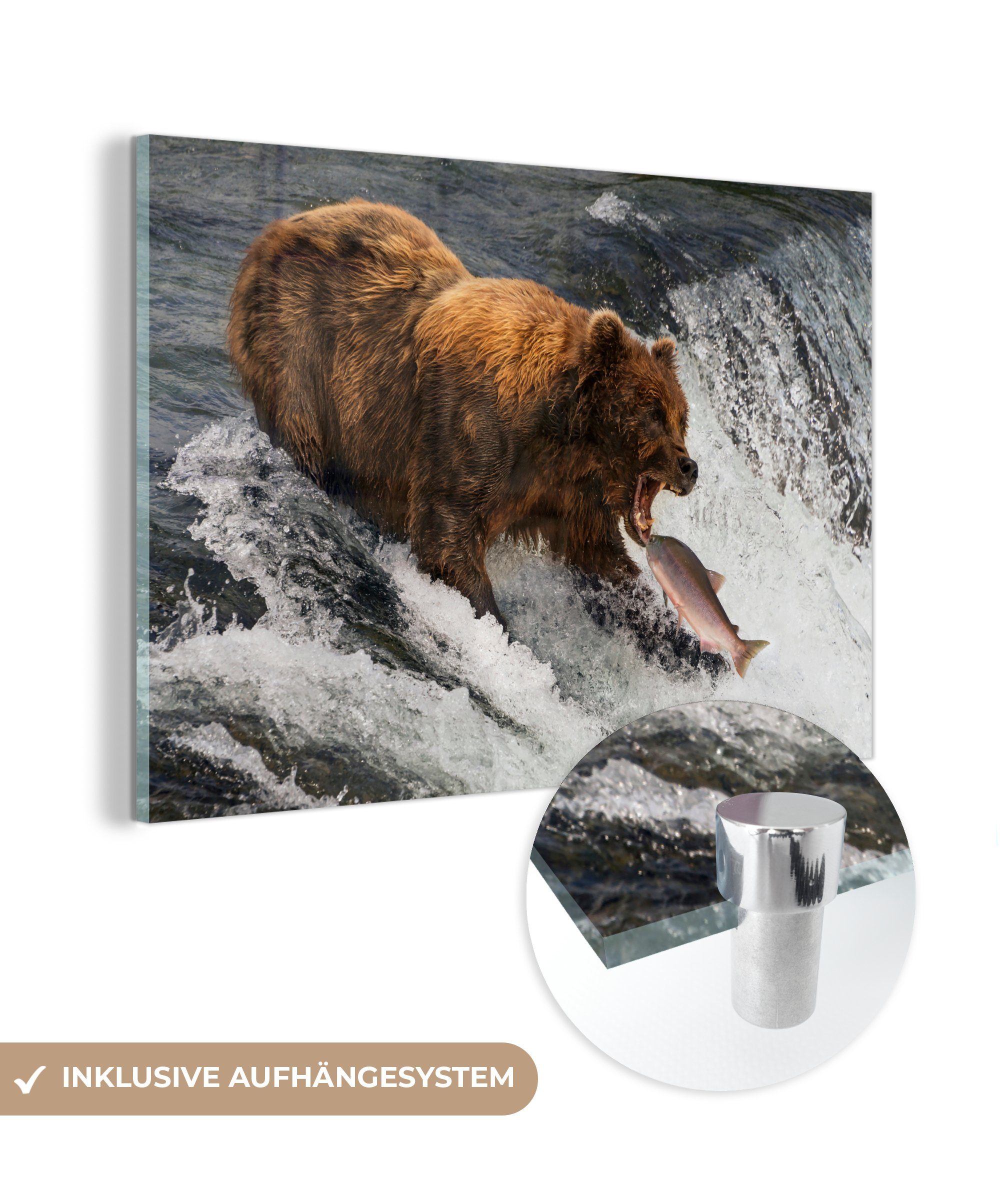 MuchoWow Acrylglasbild Bild eines einem Schlafzimmer Grizzlybären, (1 Wasserfall & St), in Wohnzimmer steht, Acrylglasbilder der