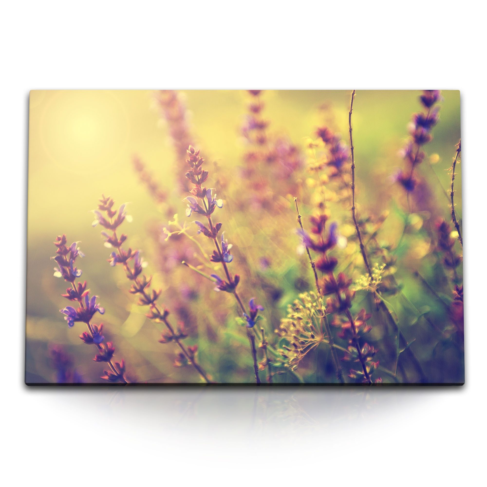 Sinus Art Leinwandbild 120x80cm Wandbild auf Leinwand Lavendel Blumen Pflanzen Natur Kunstvol, (1 St)