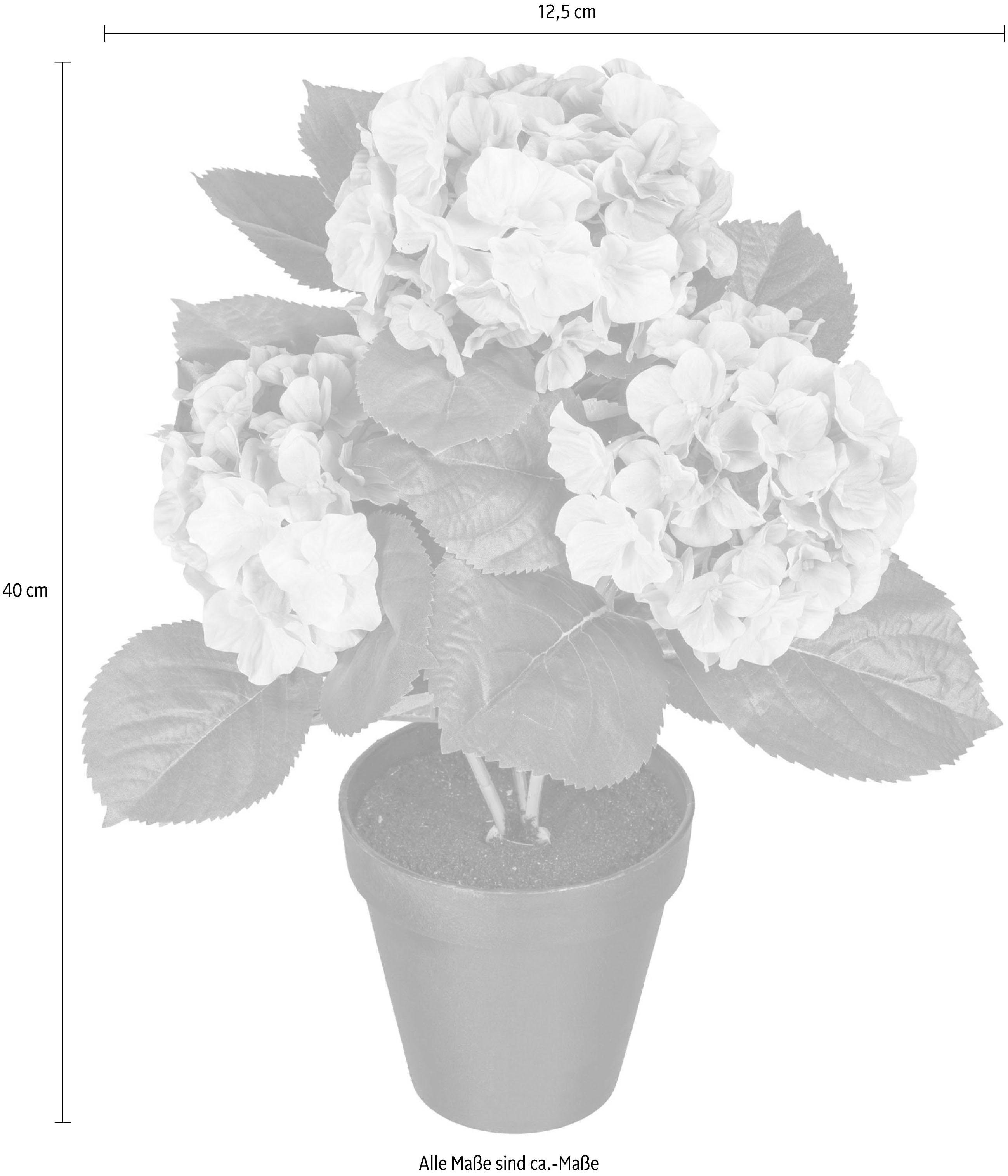 Kunstpflanze Hortensienbusch Hortensie, Creativ green, Höhe 40 cm – Bild 2 von 3