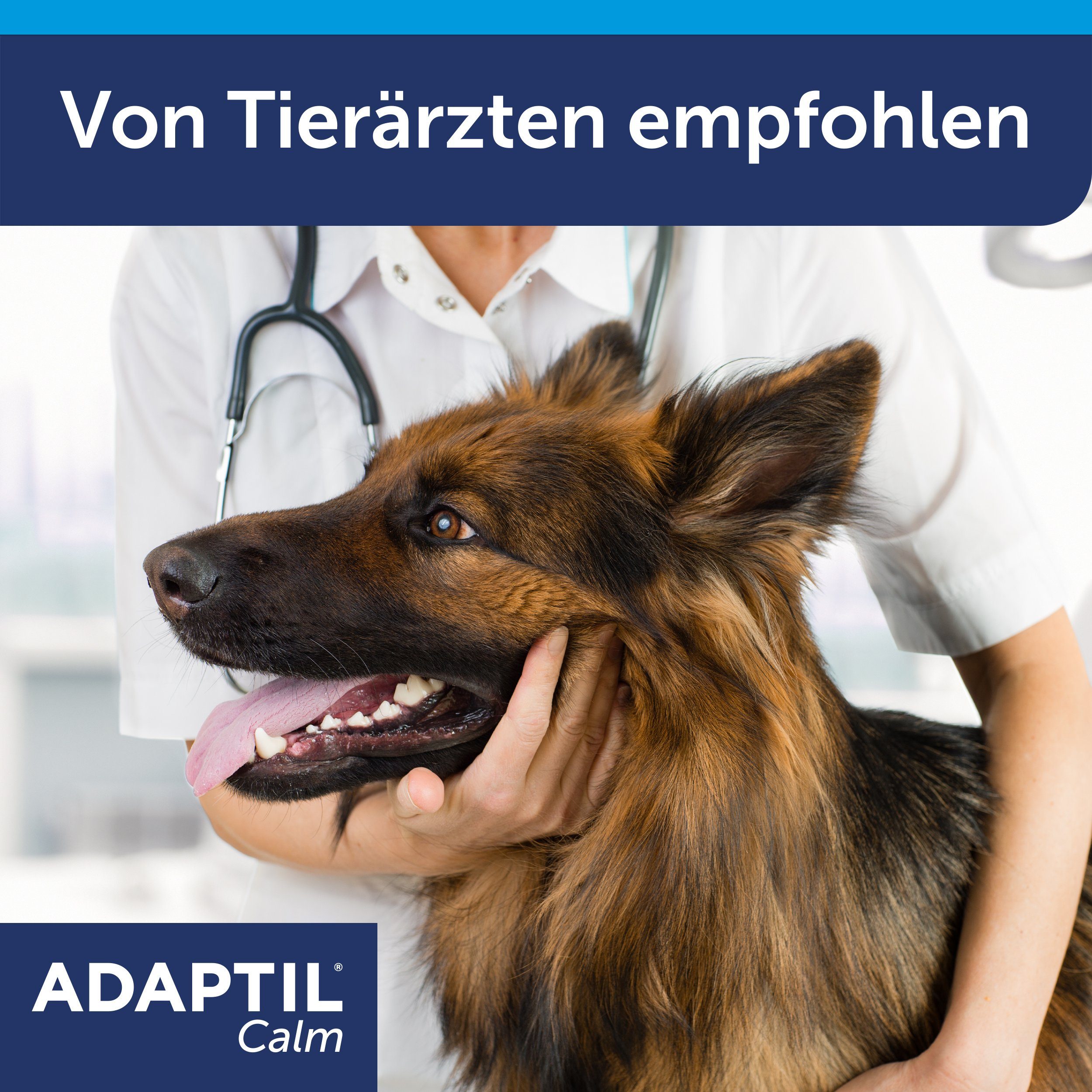 Adaptil Hunde-Halsband Adaptil® Calm Halsband für mittelgroße und große Hunde