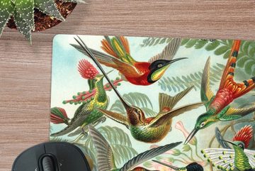 MuchoWow Gaming Mauspad Trochilidae - Ernst Haeckel - Vogel (1-St), Mousepad mit Rutschfester Unterseite, Gaming, 40x40 cm, XXL, Großes