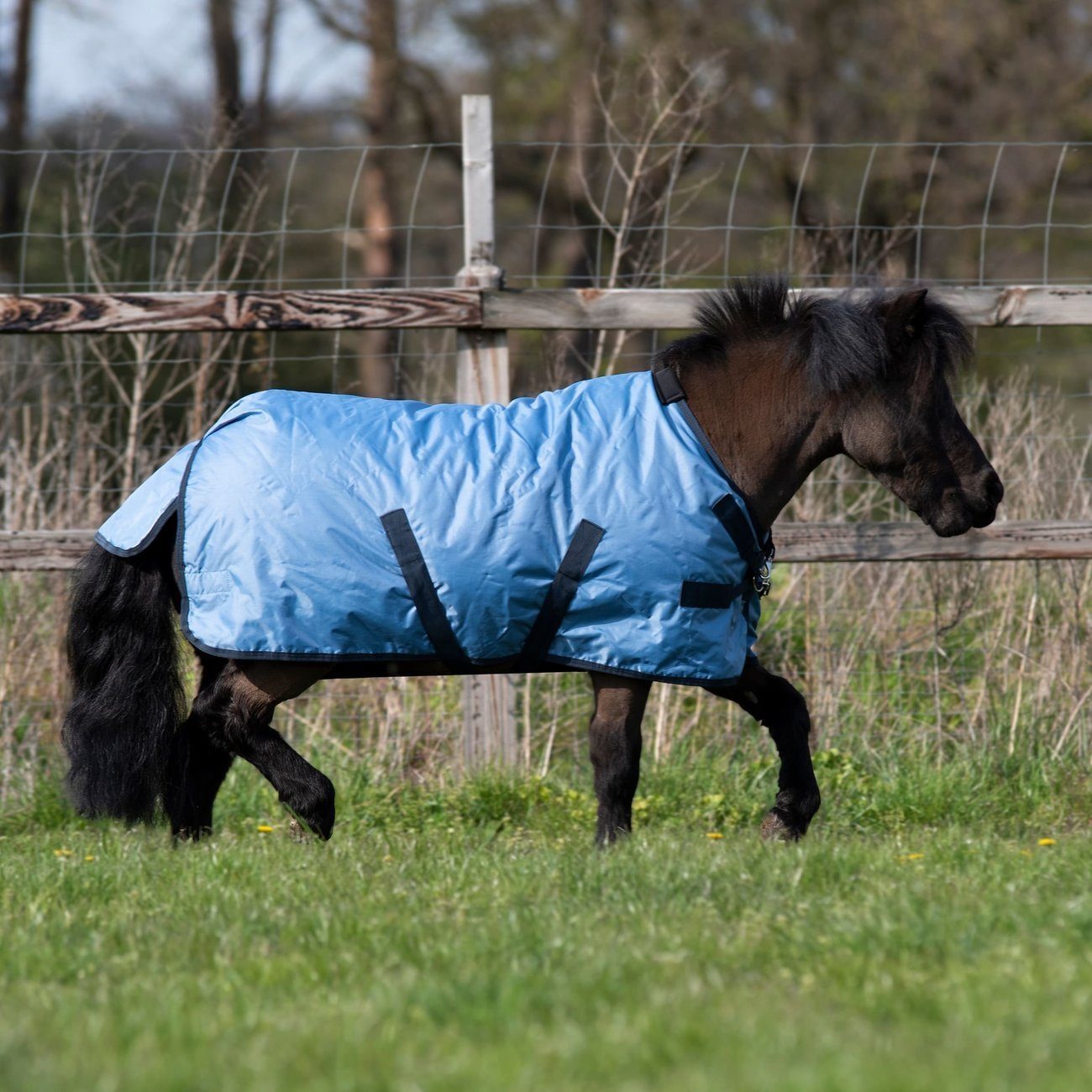 100 Mini Outdoordecke Tierdecke Windchilly BUSSE Pony Pferdedecke