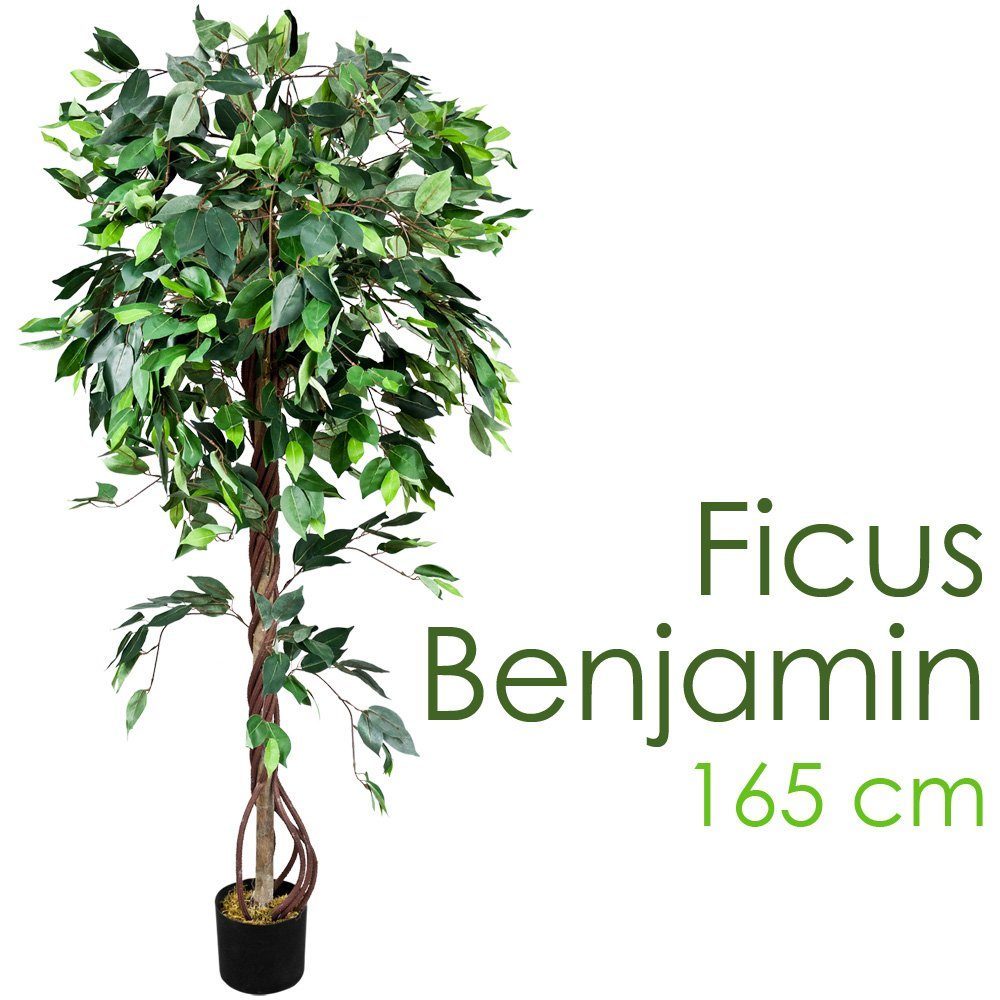 Kunstbaum Ficus Benjamin Kunstpflanze Künstliche Pflanze mit Echtholz 165 cm