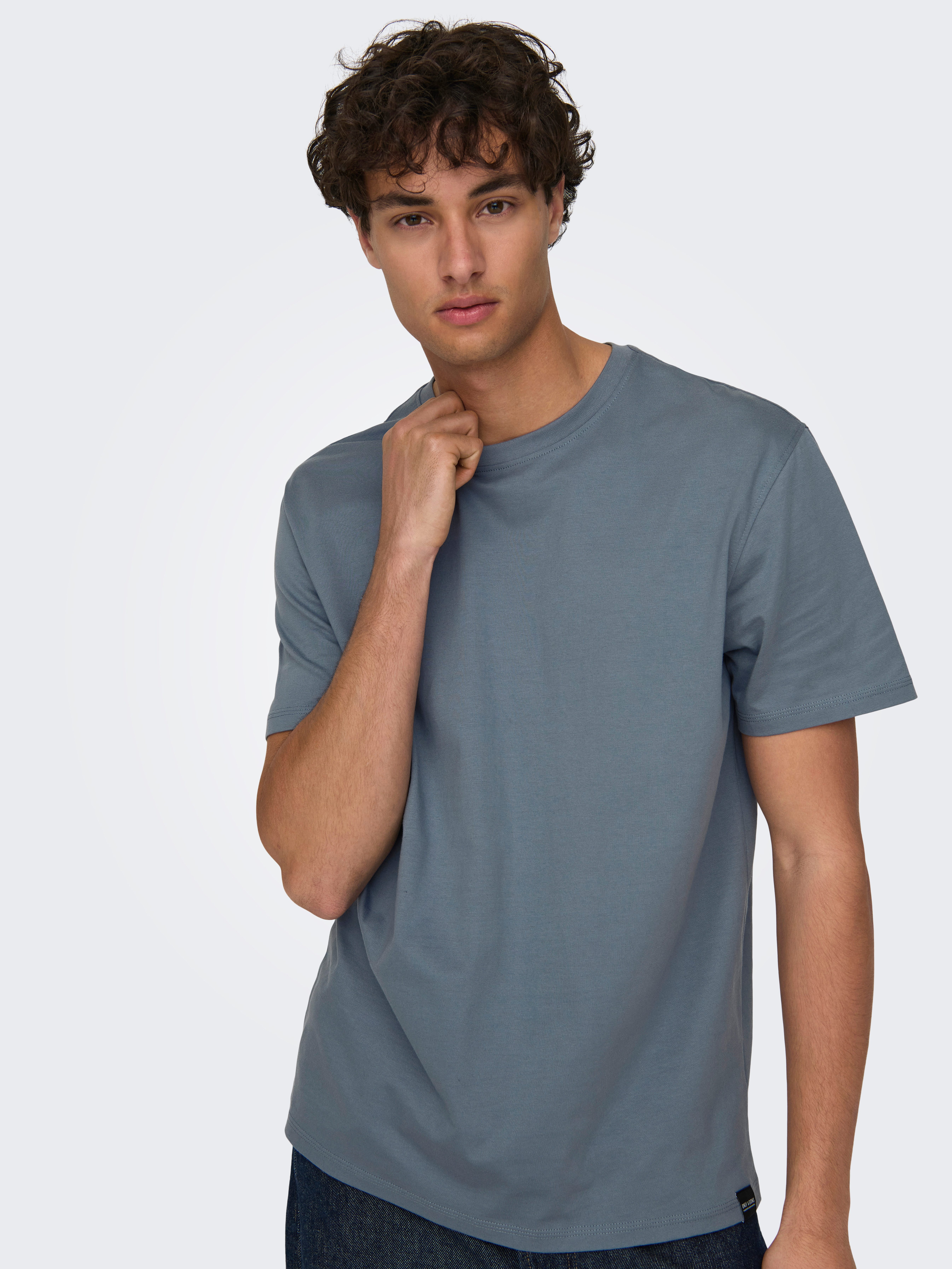 ONLY & SONS Rundhalsshirt ONSMAX LIFE günstig online kaufen