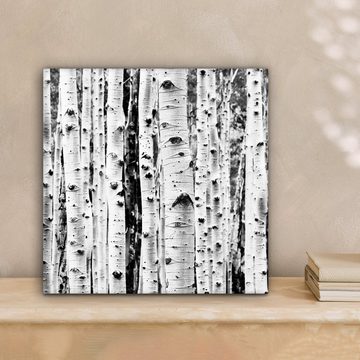 OneMillionCanvasses® Leinwandbild Bäume - Holz - Schwarz und weiß - Natur, (1 St), Leinwand Bilder für Wohnzimmer Schlafzimmer