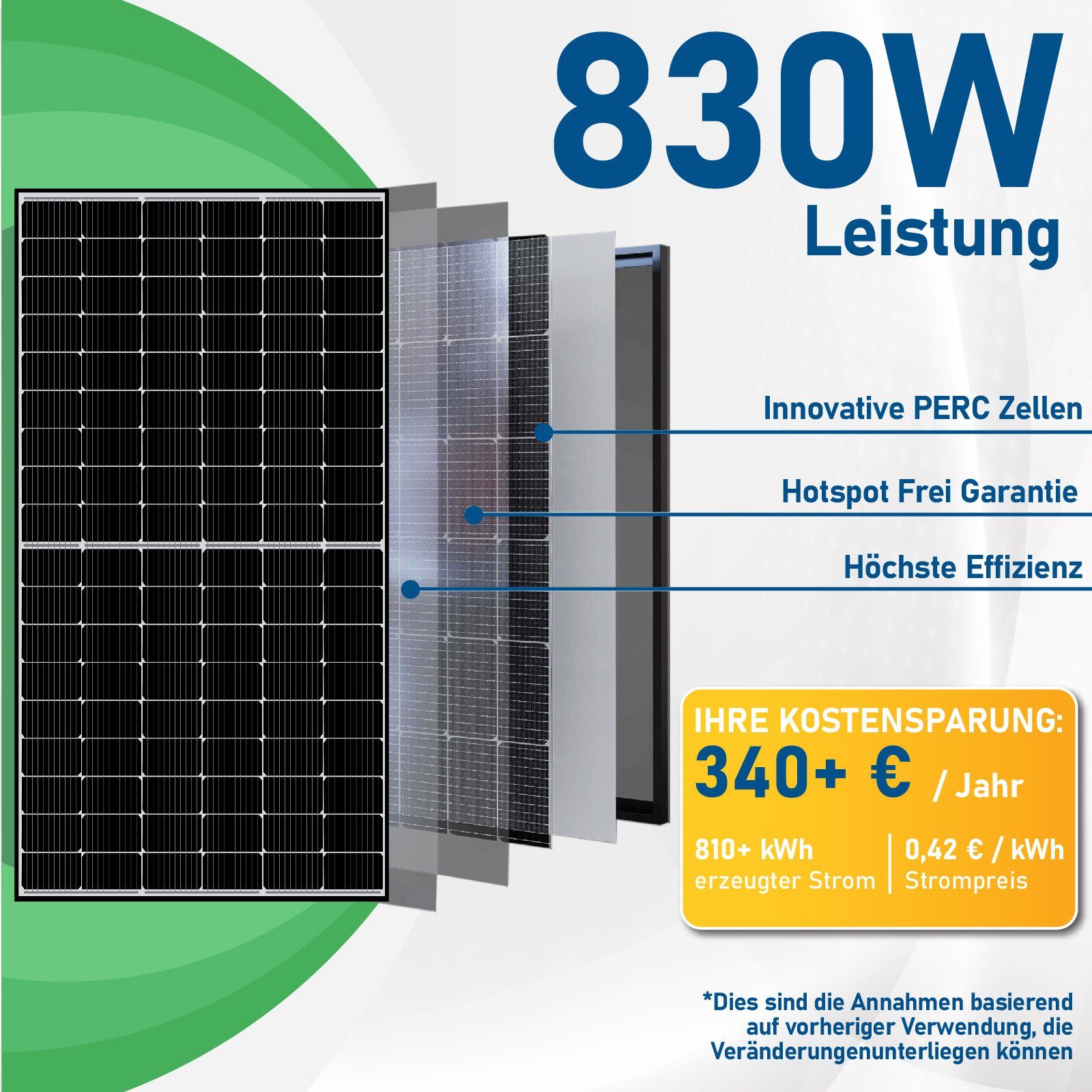 Deye 800W Süd Neu Komplettset WIFI Premium Aufständerung Solaranlage PV-Montage, Balkonkraftwerk Wechselrichter Campergold mit Generation 830W Relais
