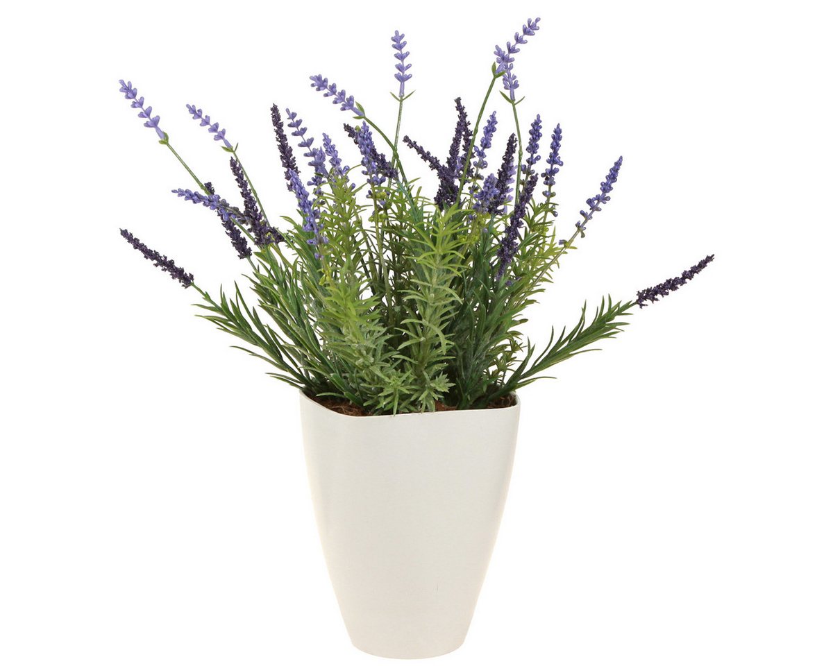 Thumbnail - Viana Blumentopf Orchideentopf Weiß Kunststoff 16,5 cm 4er Set Dekotopf