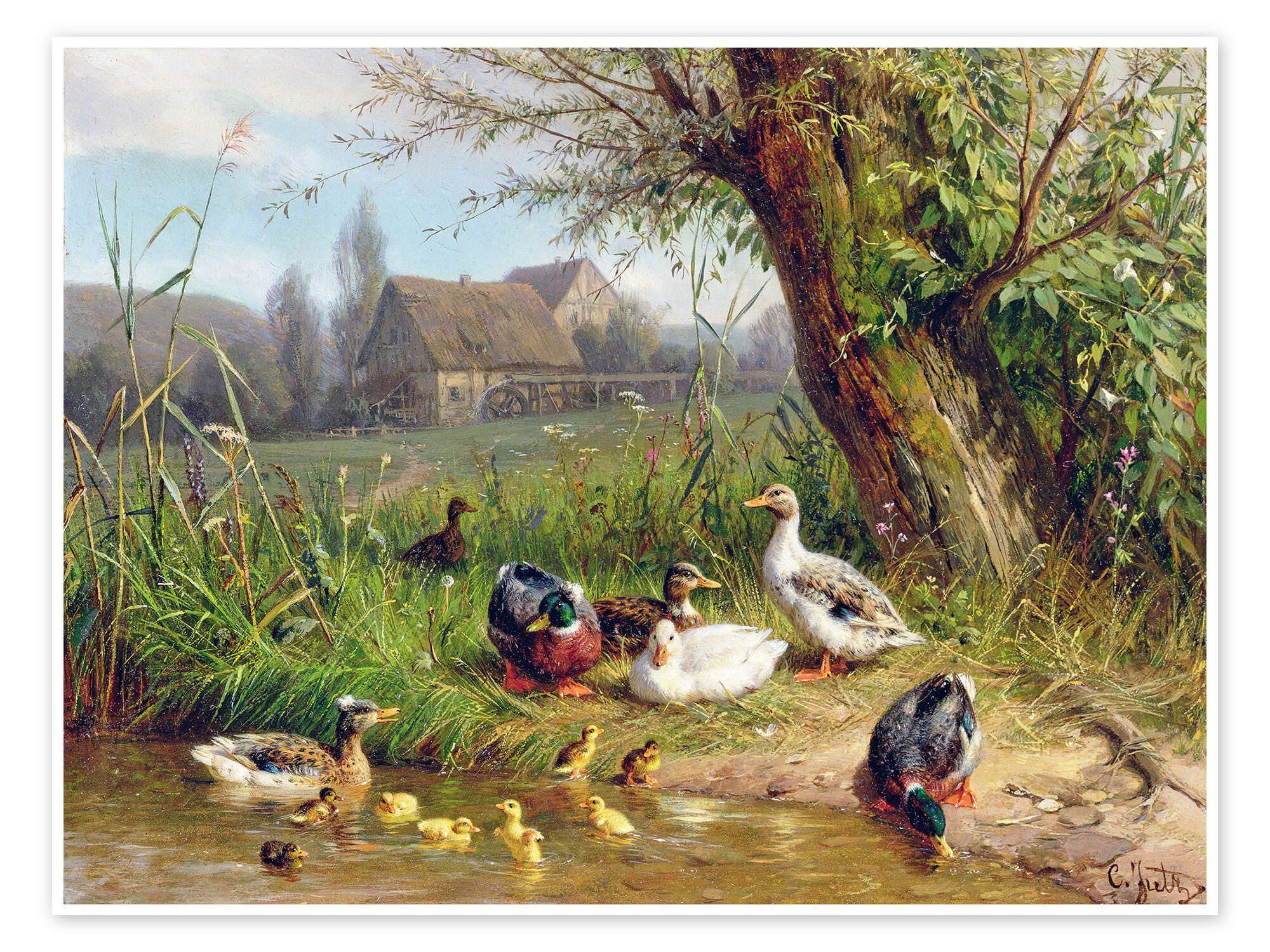 Posterlounge Wandbild Mallard Enten mit ihren Entenküken, Carl Jutz, erhältlich als Poster, Leinwandbild, Wandsticker oder Acrylglasbild