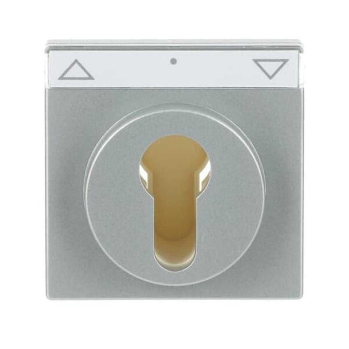 Busch-Jaeger Abdeckrahmen Busch-Jaeger Zentralscheibe alusi 1755 SL/PZ-83-101