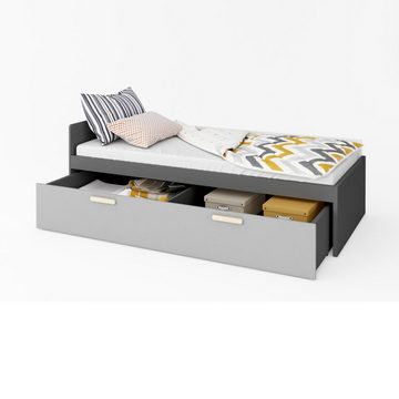 Beautysofa Jugendbett Pok (Grau Holzbett für Jugendzimmer, modernes Design, Grau Bett mit Holzgestell 90 x 200 cm), Einzelbett mit Liegefläche 90 x 200 cm