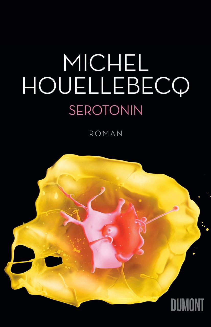 Serotonin / Michel Houellebecq, Roman