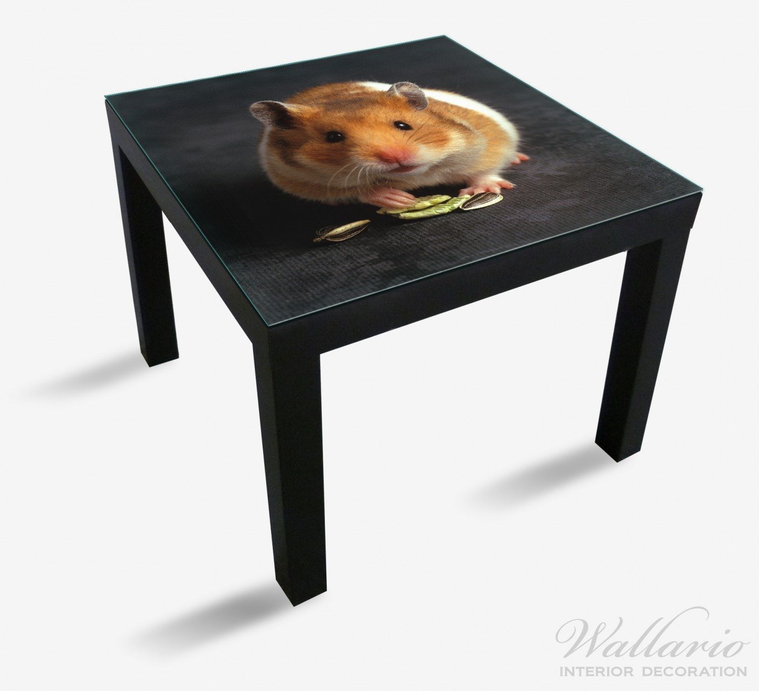 Wallario Tischplatte Putziger zwischen Ikea Pfoten mit den St), geeignet Lack Nüssen Tisch für (1 Hamster
