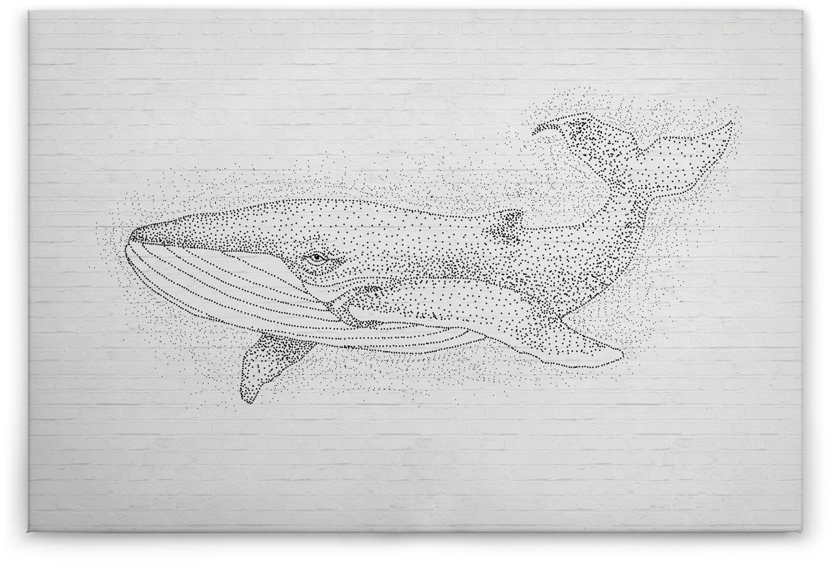 Zeichnung (1 A.S. Schwarz-Weiß Création Wal weiß, Leinwandbild Tiere schwarz Keilrahmen grau, titan, St), Bild