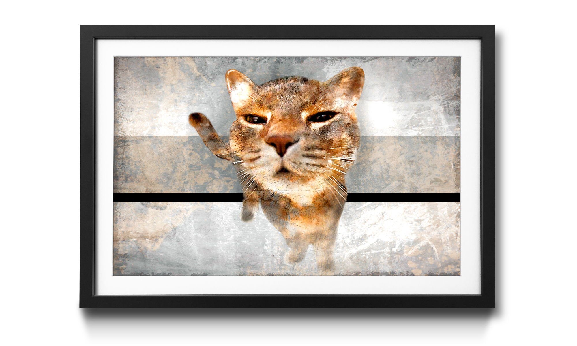 WandbilderXXL Kunstdruck Smooth Cat, Katze, erhältlich in Größen Wandbild, 4