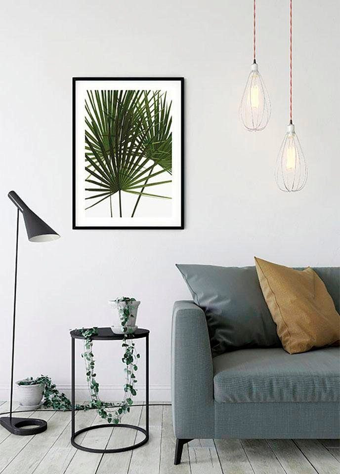 Komar Poster Palmtree St), (1 Kinderzimmer, Pflanzen Wohnzimmer Schlafzimmer, Leaves
